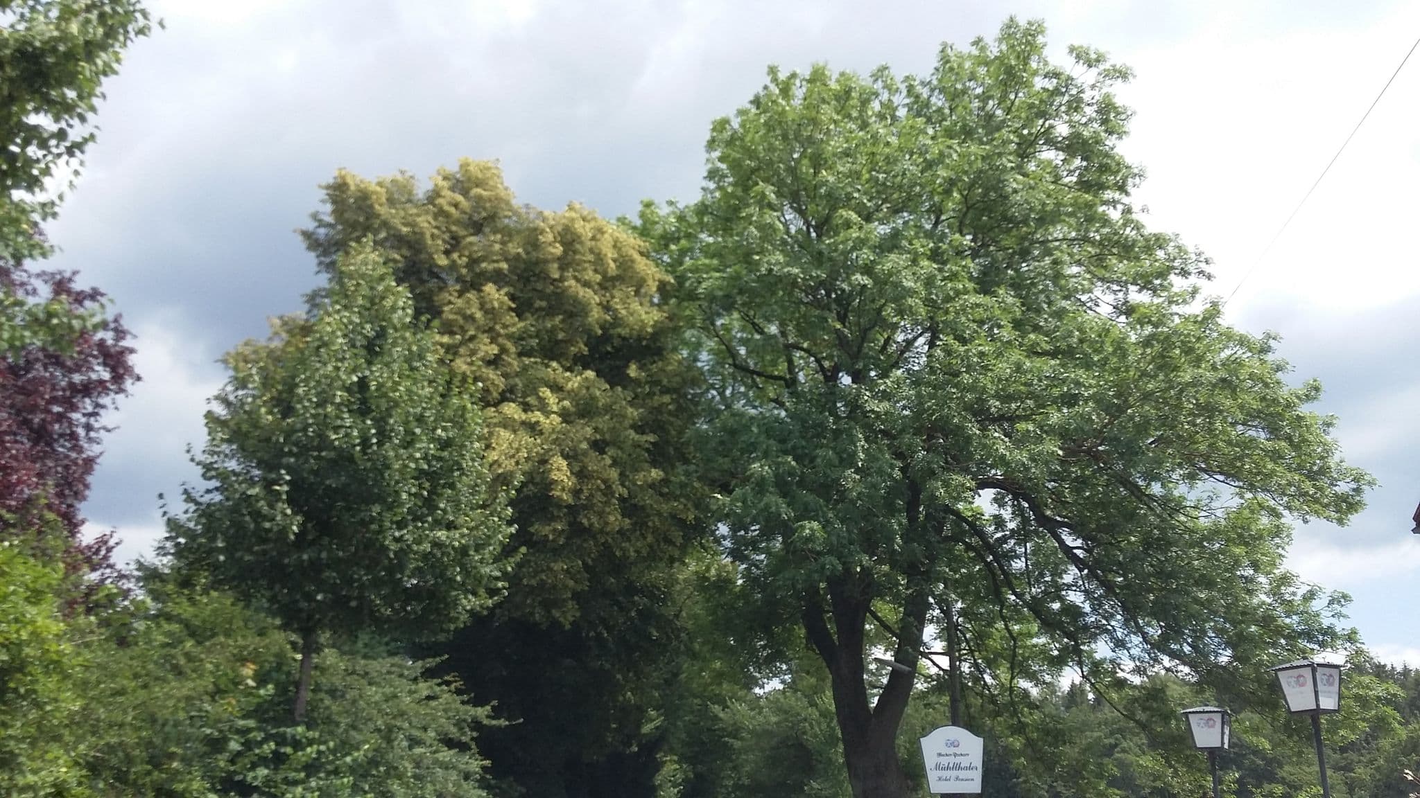 Street view near Hotel Mülthaler, Krailling — © maturion (CC BY-SA · Mapillary)