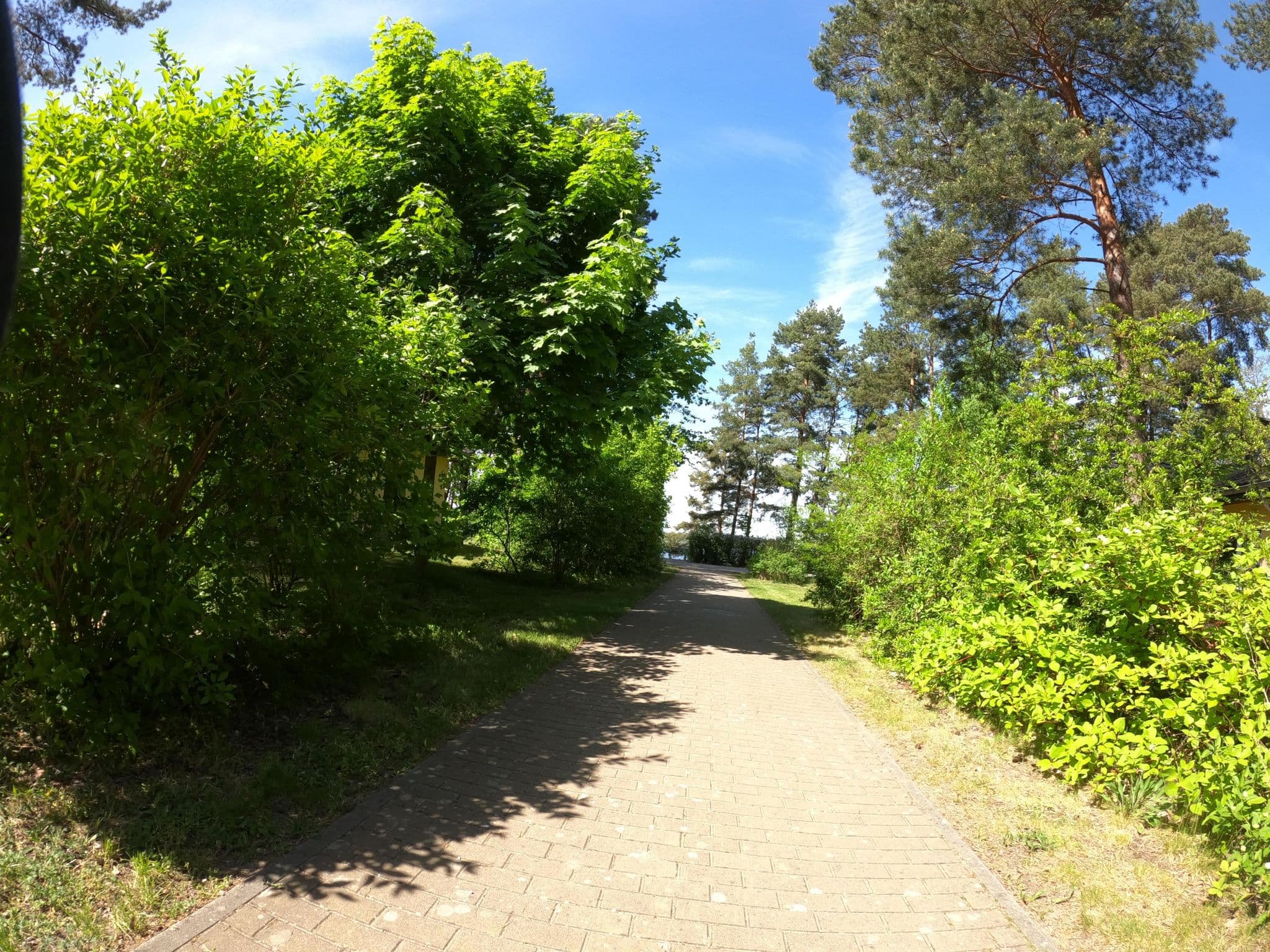 Street view near 141, Senftenberg — © masterofnoroad (CC BY-SA · Mapillary)