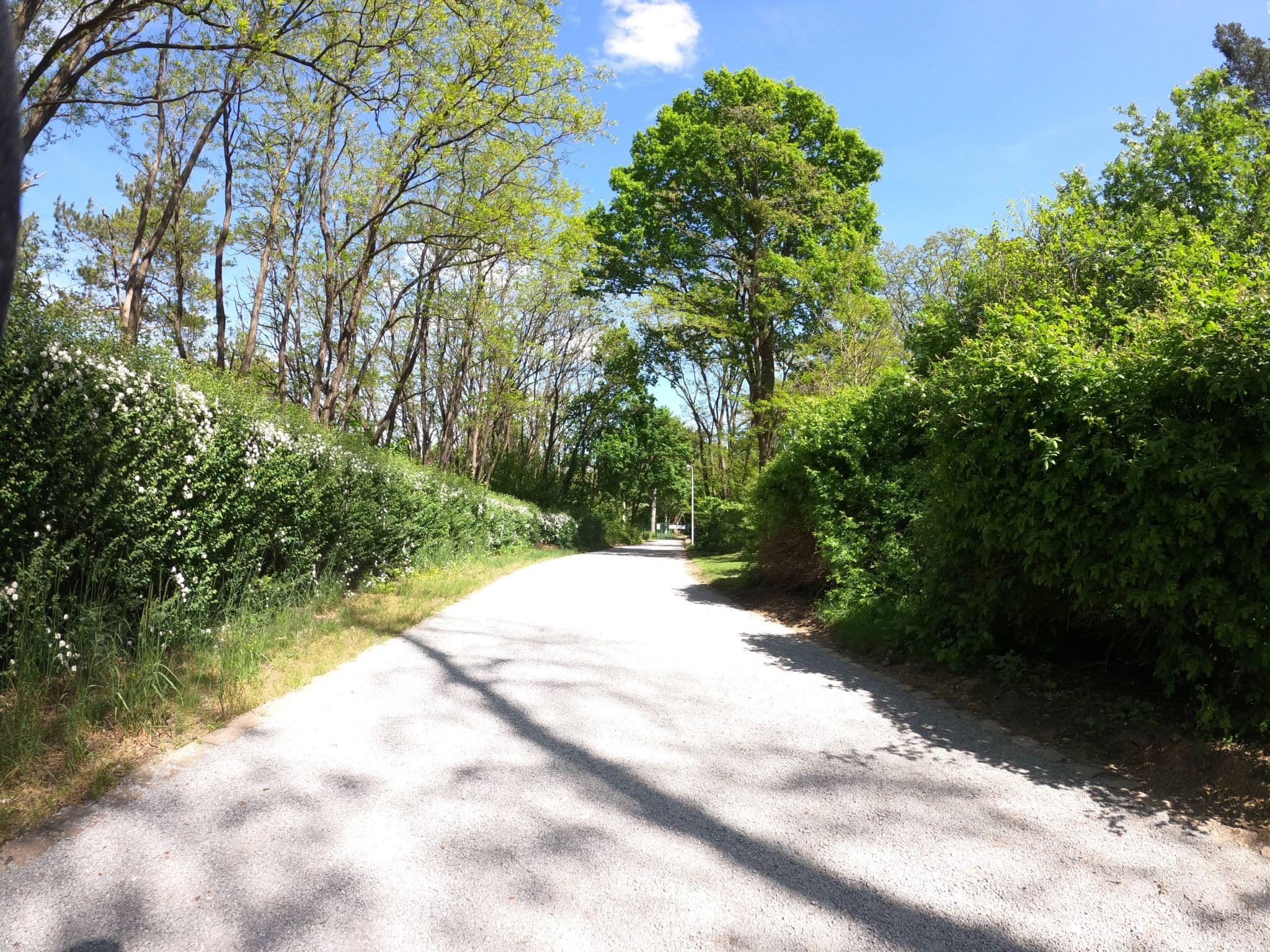 Street view near 138, Senftenberg — © masterofnoroad (CC BY-SA · Mapillary)