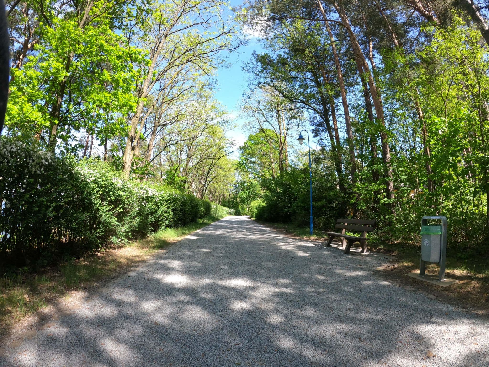 Street view near 139, Senftenberg — © masterofnoroad (CC BY-SA · Mapillary)