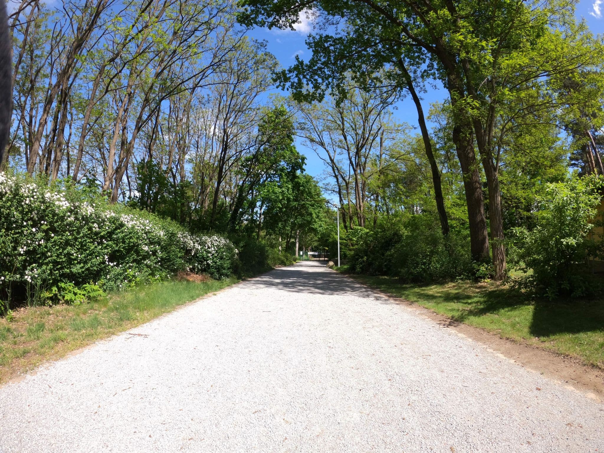 Street view near 118, Senftenberg — © masterofnoroad (CC BY-SA · Mapillary)