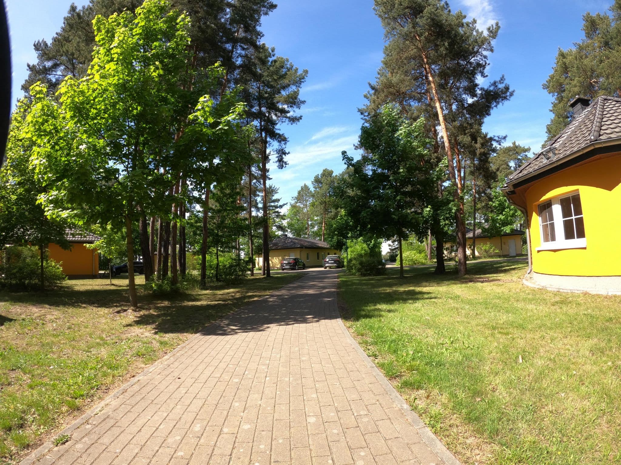 Street view near 134, Senftenberg — © masterofnoroad (CC BY-SA · Mapillary)