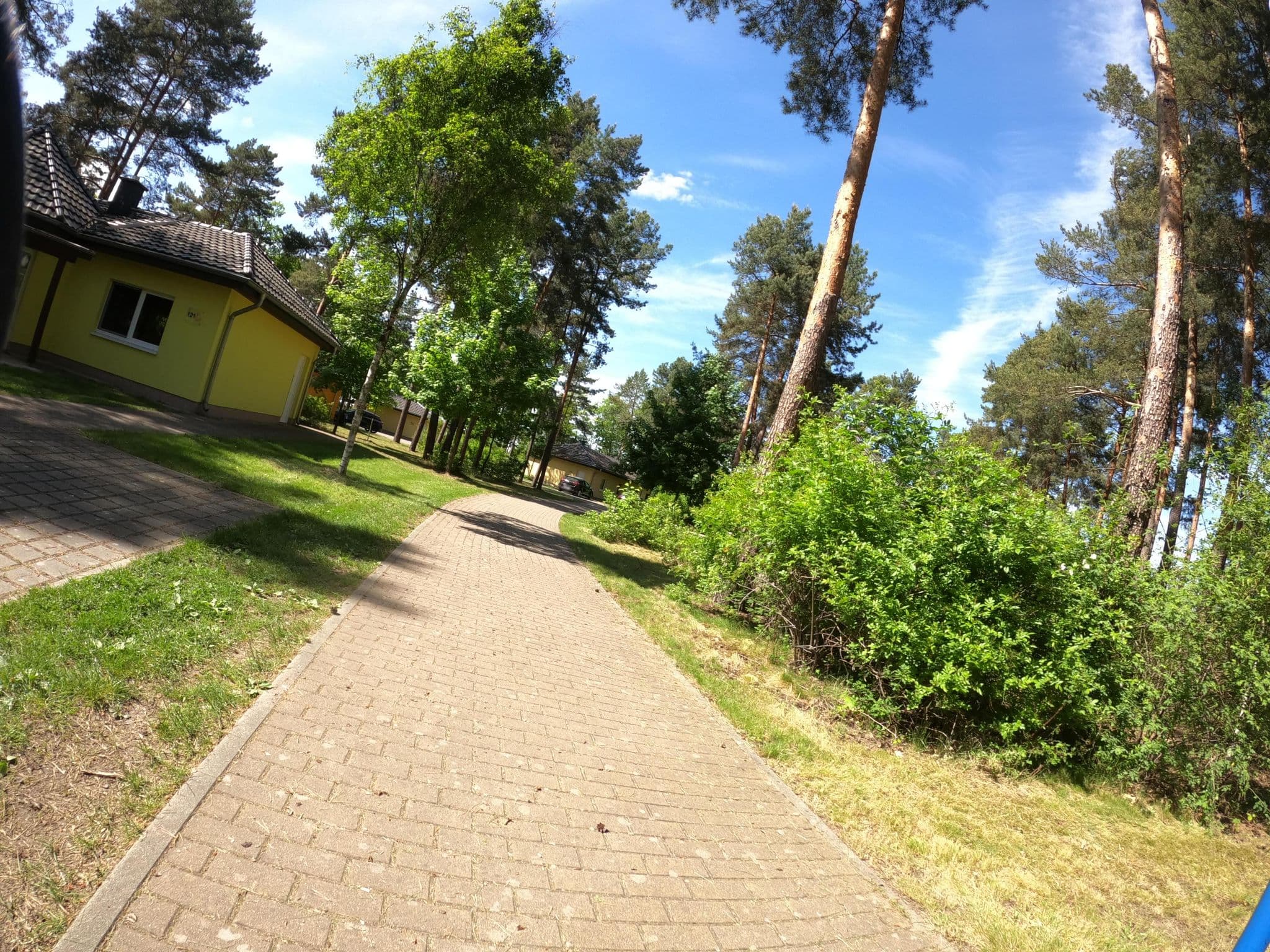 Street view near 121, Senftenberg — © masterofnoroad (CC BY-SA · Mapillary)