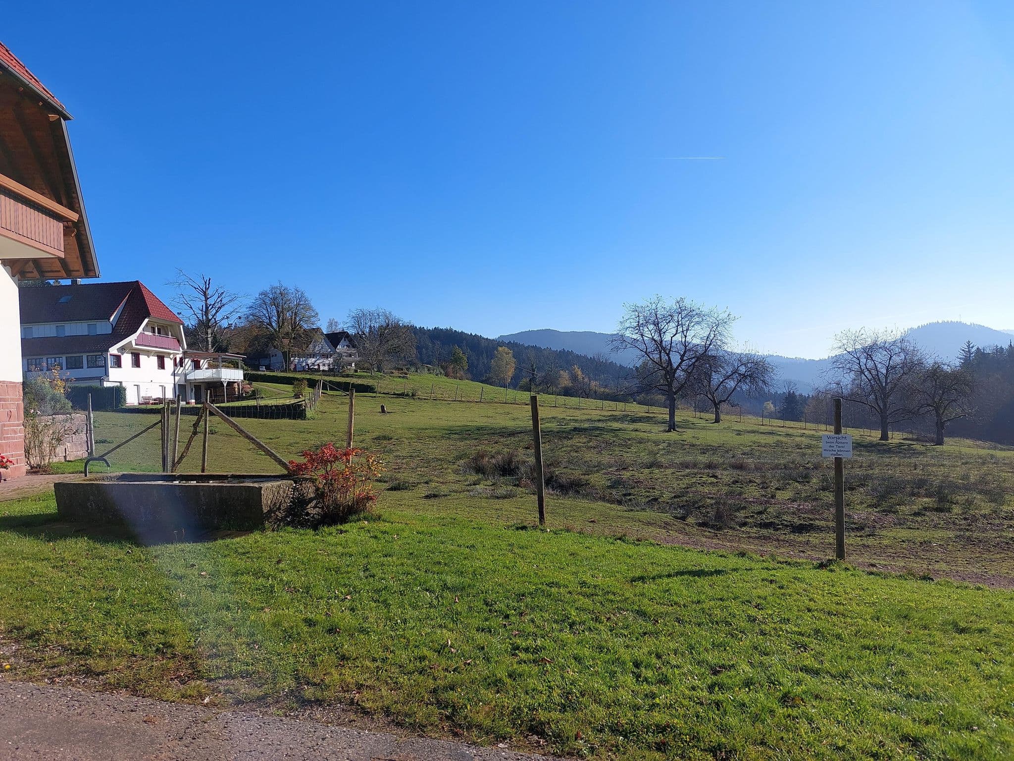 Street view near zum Breitenberg, Bad Peterstal-Griesbach — © mathe-hilde (CC BY-SA · Mapillary)