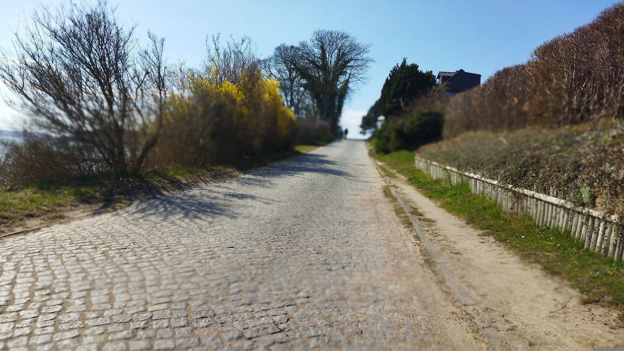 Street view near Alte Bootswerft, Putbus — © changchun1 (CC BY-SA · Mapillary)
