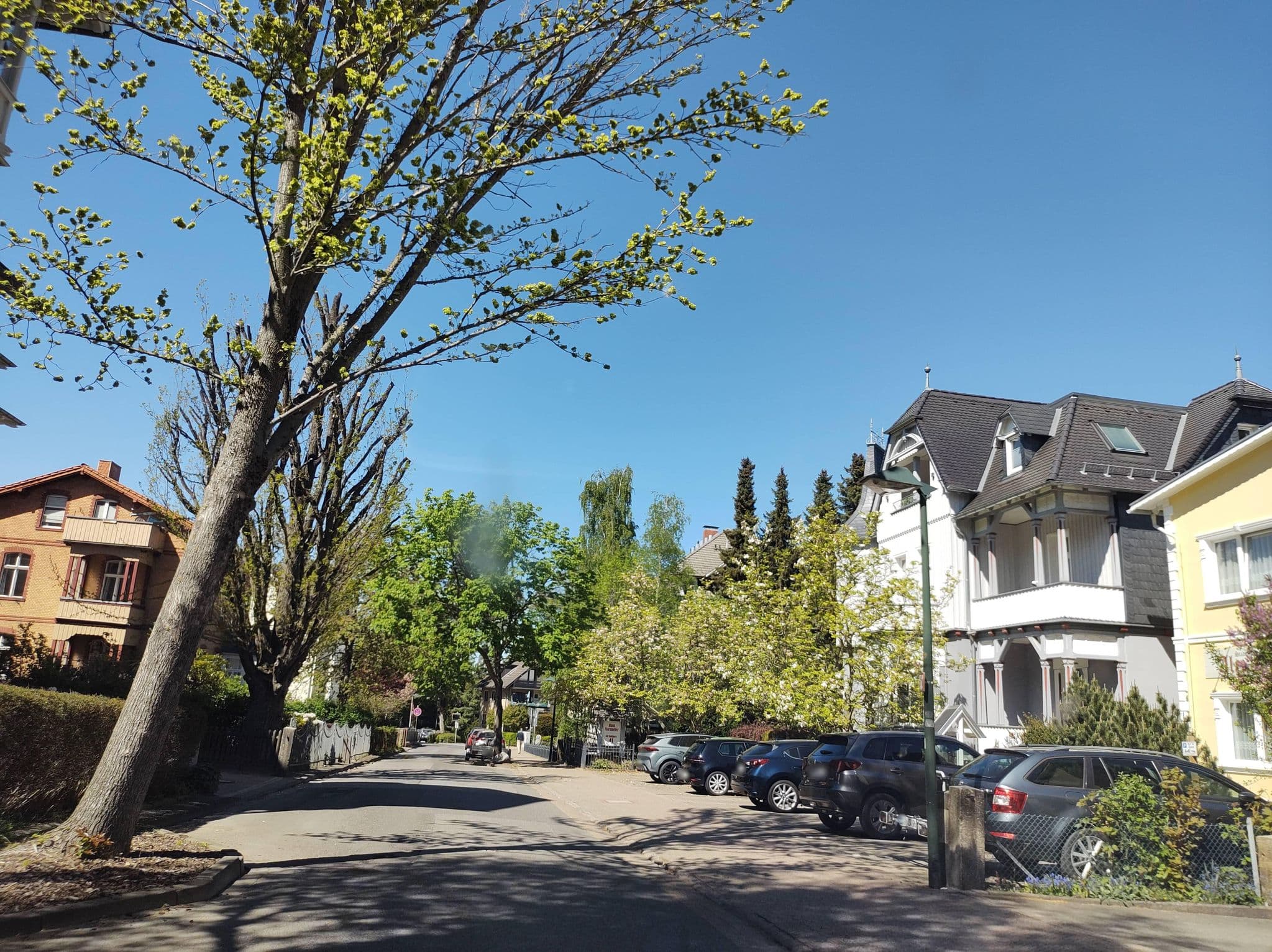 Street view near Stadtparkhotel Alexandra, Bad Harzburg — © thetornado76 (CC BY-SA · Mapillary)