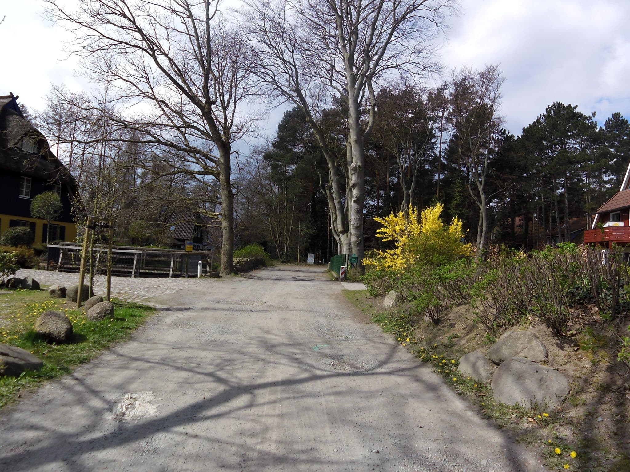Street view near Haus Deichrose, Ostseebad Prerow — © zoegglmeyr (CC BY-SA · Mapillary)