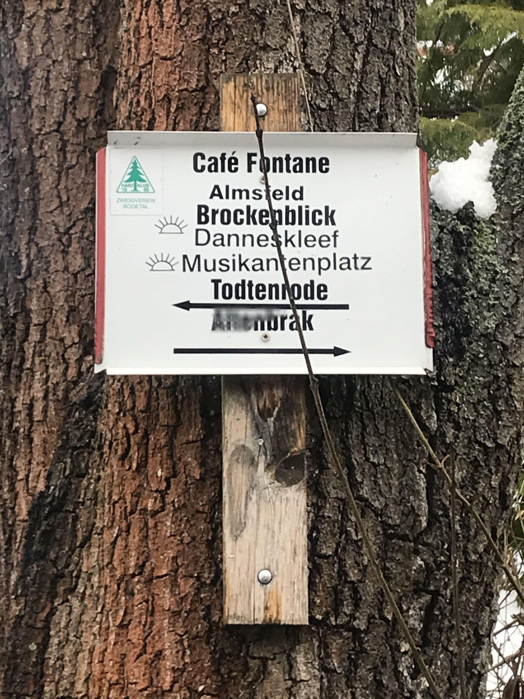 Street view near Waldhotel Altenbrak, Hüttenrode — © surveyor99 (CC BY-SA · Mapillary)