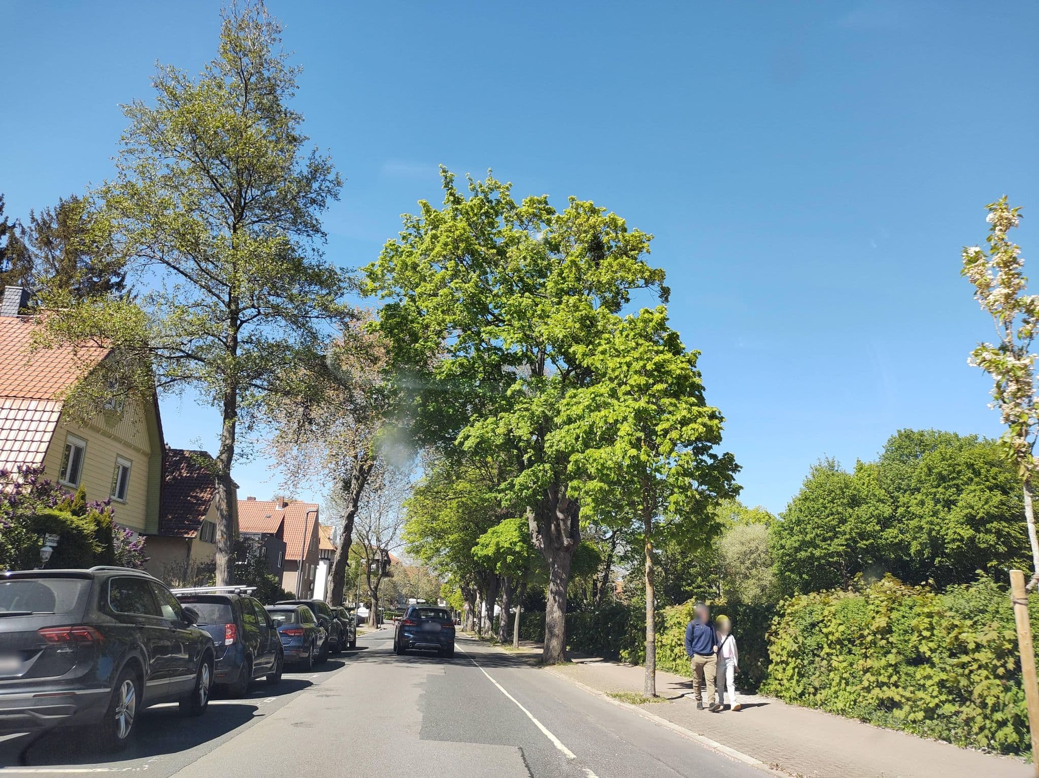 Street view near Pension Haus Trautheim, Bad Harzburg — © thetornado76 (CC BY-SA · Mapillary)