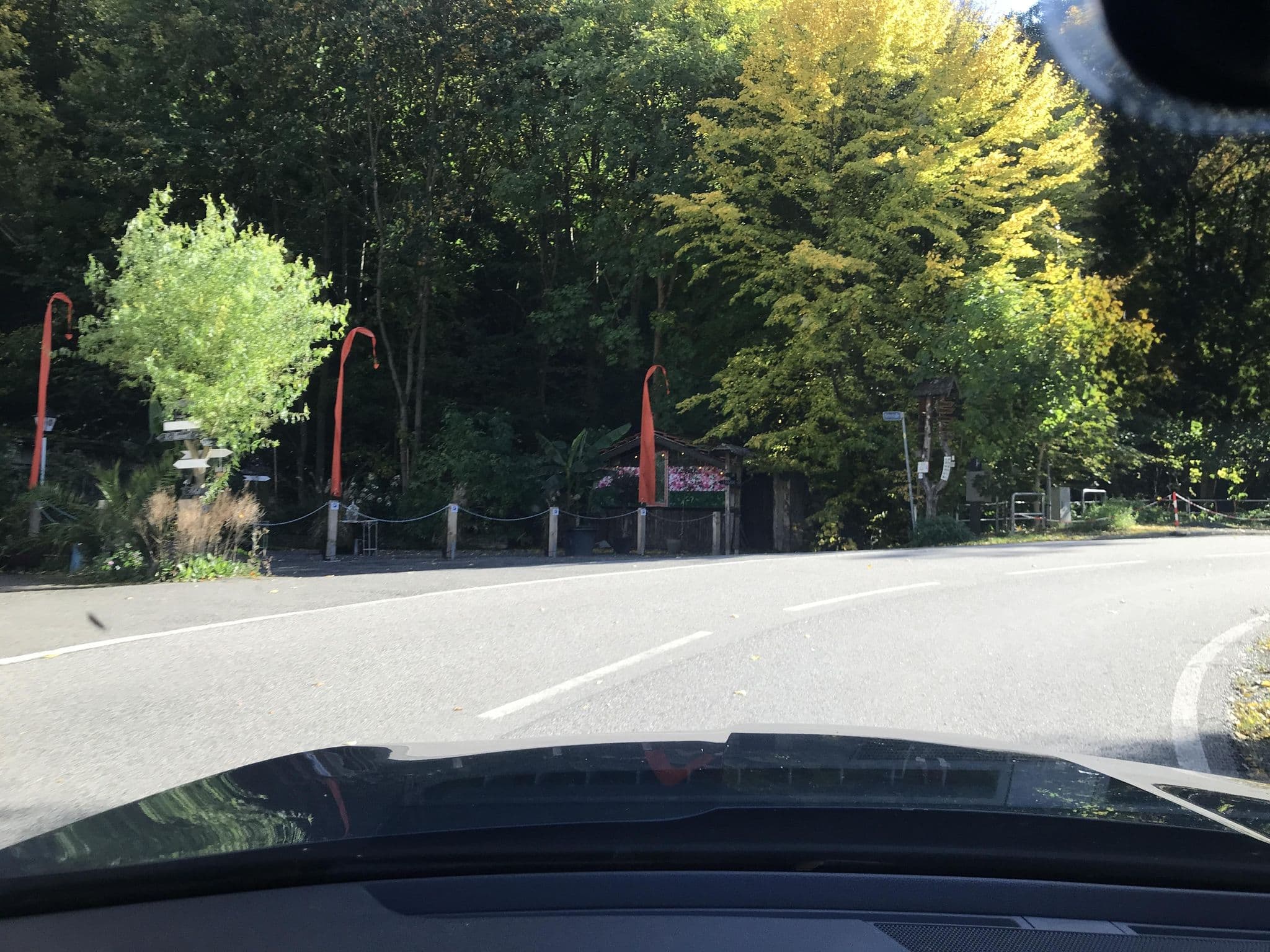 Street view near Hotel Zur Luppbode, Friedrichsbrunn — © surveyor99 (CC BY-SA · Mapillary)