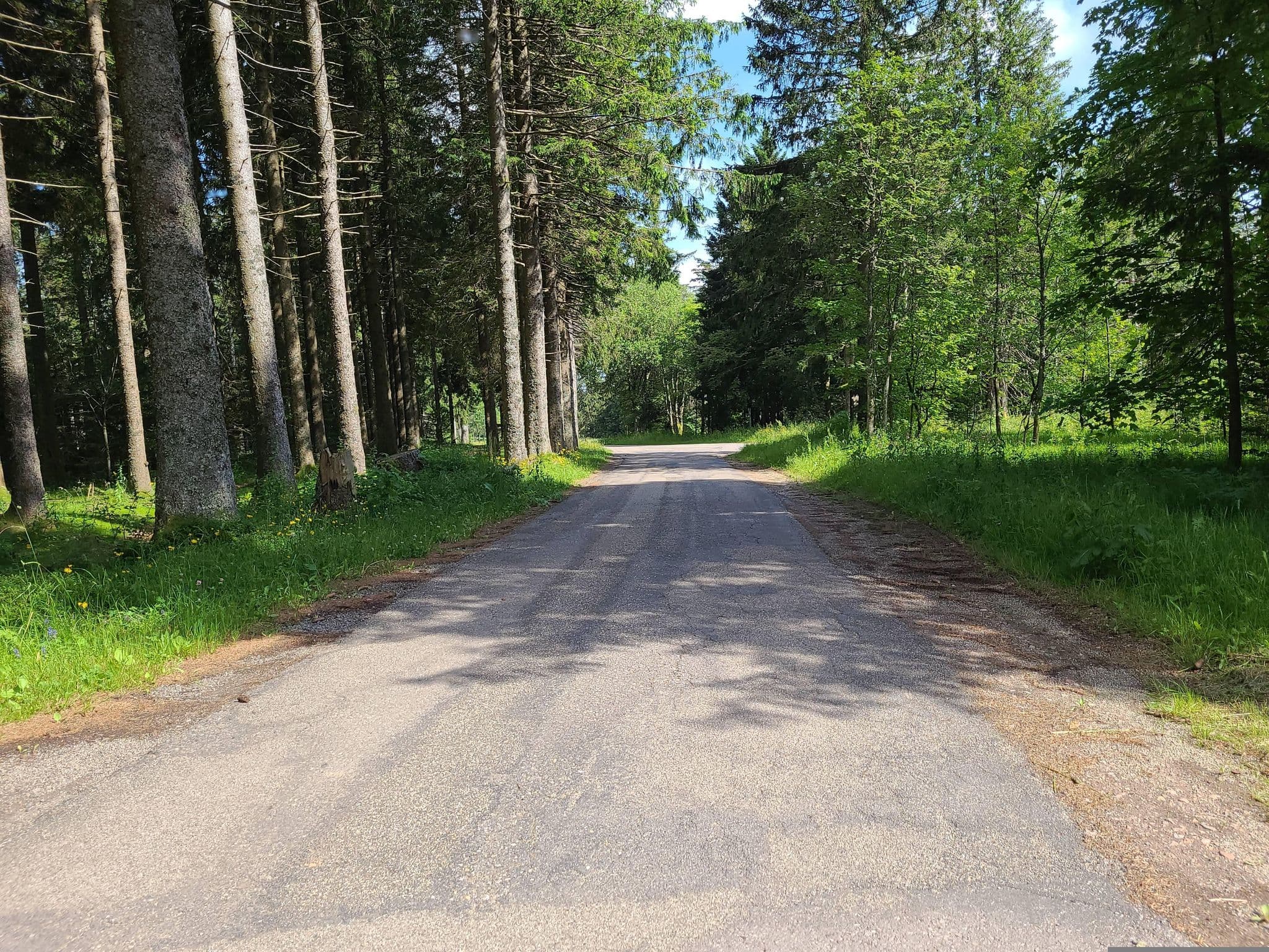 Street view near Brendhütte, Gütenbach — © Lukas1976 (CC BY-SA · Mapillary)