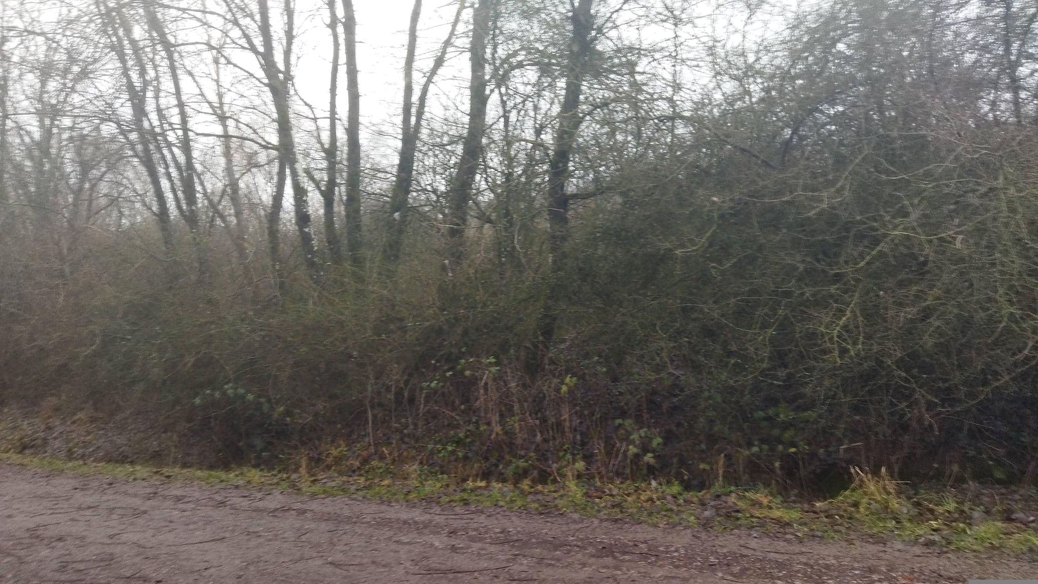 Street view near Center Parcs Park Bostalsee, Nohfelden — © changchun1 (CC BY-SA · Mapillary)