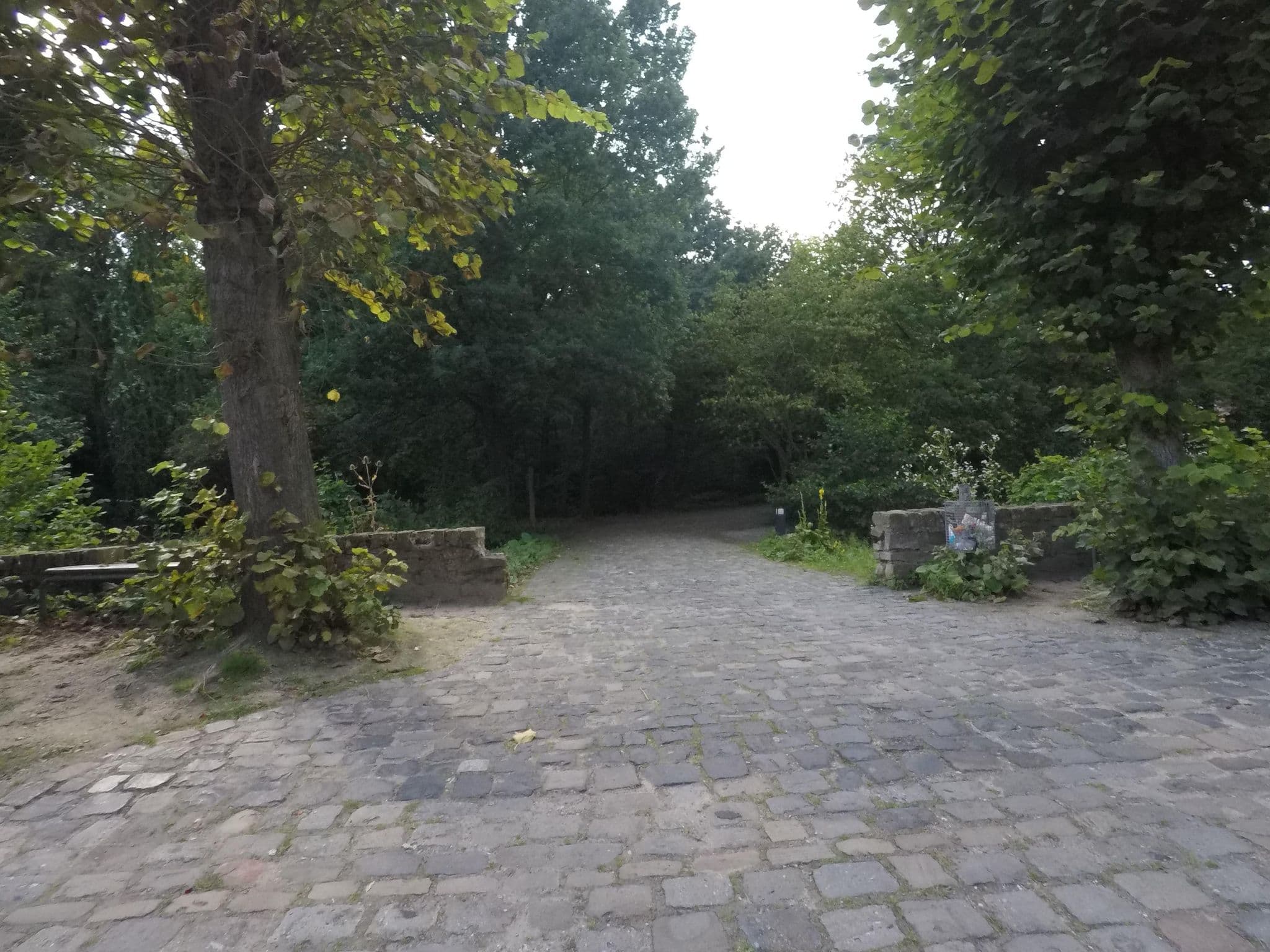 Street view near Biologiezentrum Bustedt, Hiddenhausen — © mapiman (CC BY-SA · Mapillary)