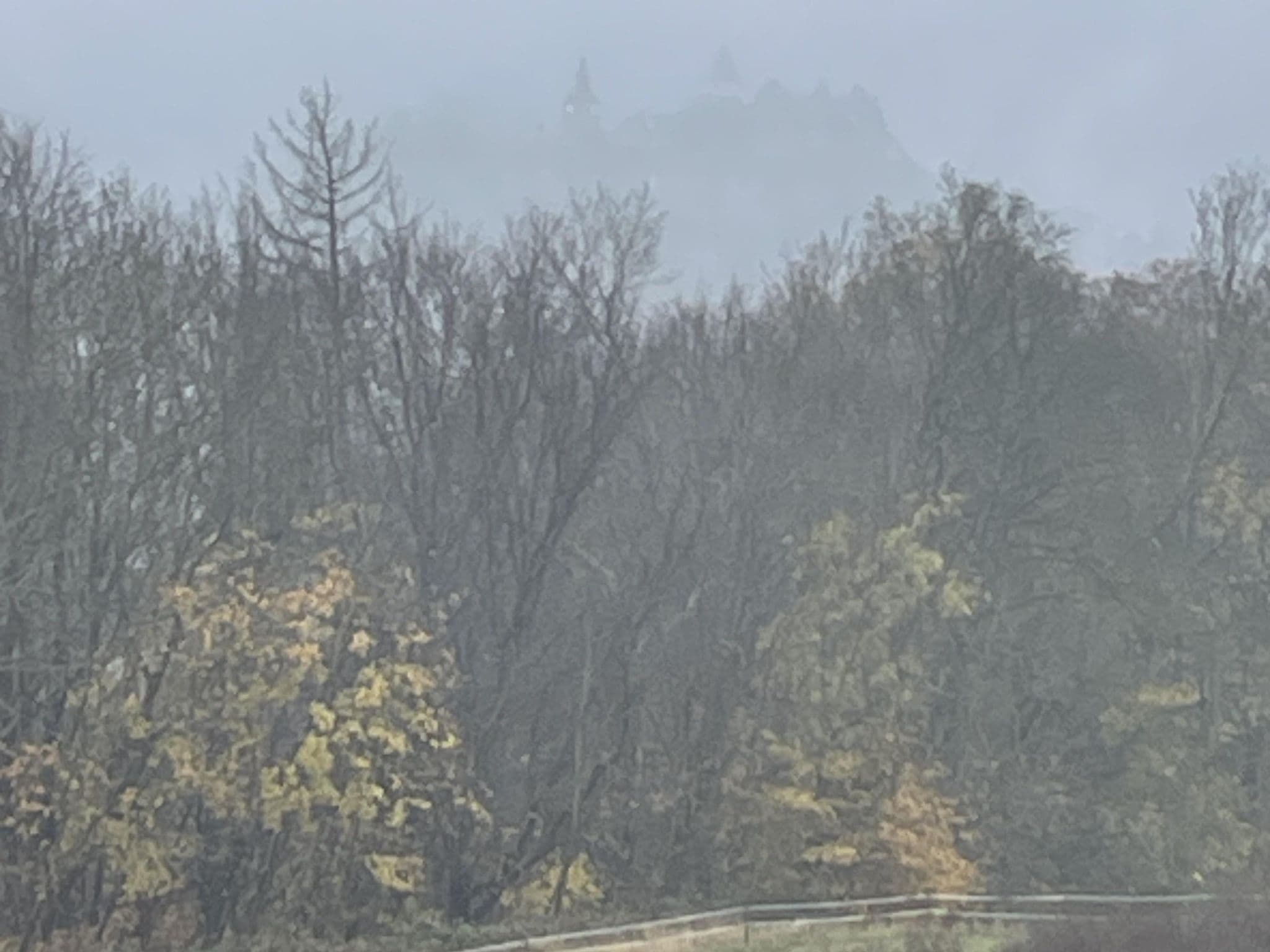 Street view near Hotel & Gasthaus Rammelburg-Blick, Wippra — © surveyor99 (CC BY-SA · Mapillary)