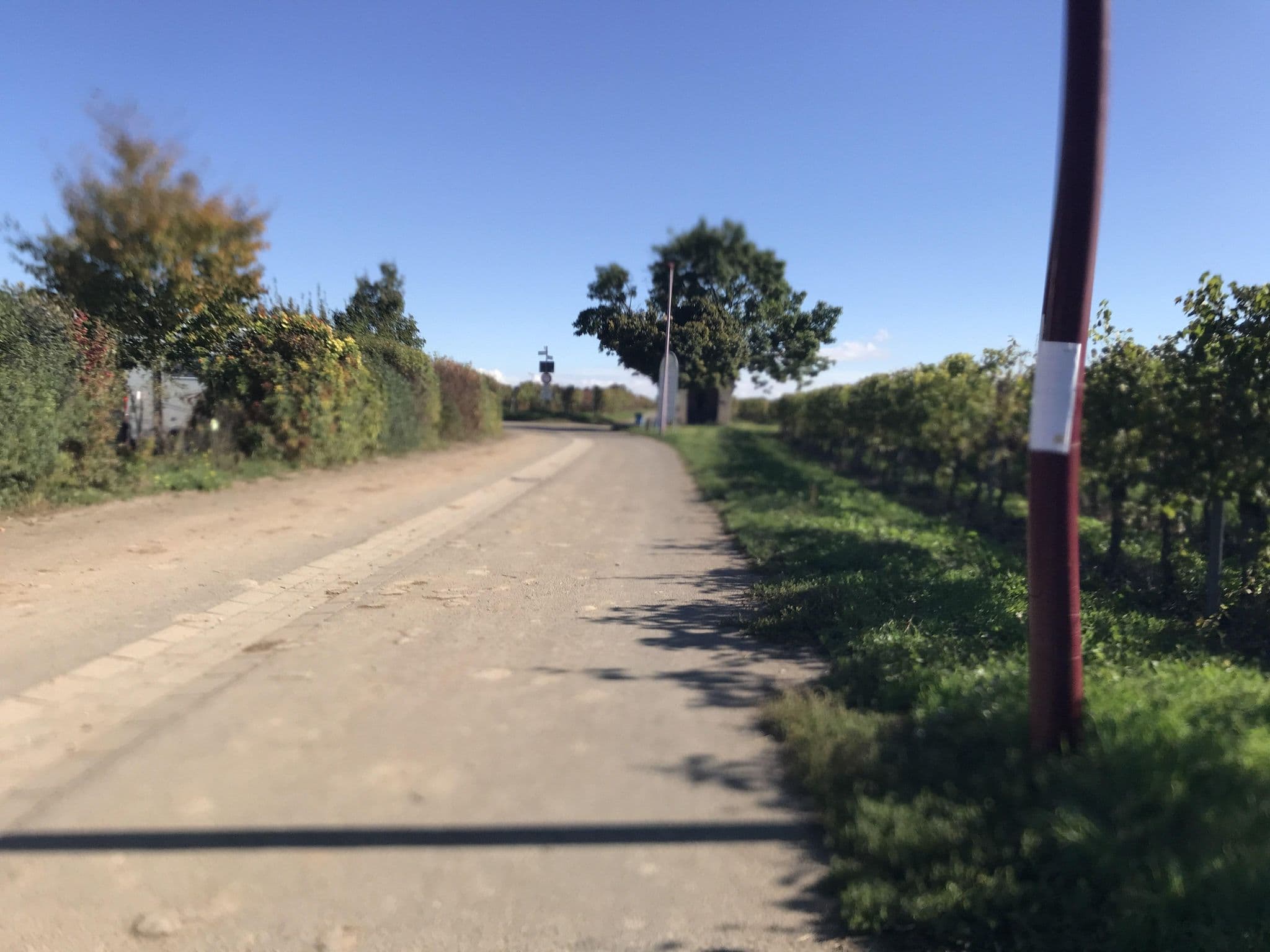 Street view near Metzis Panoramablick, Ockenheim — © miguel_andrade (CC BY-SA · Mapillary)