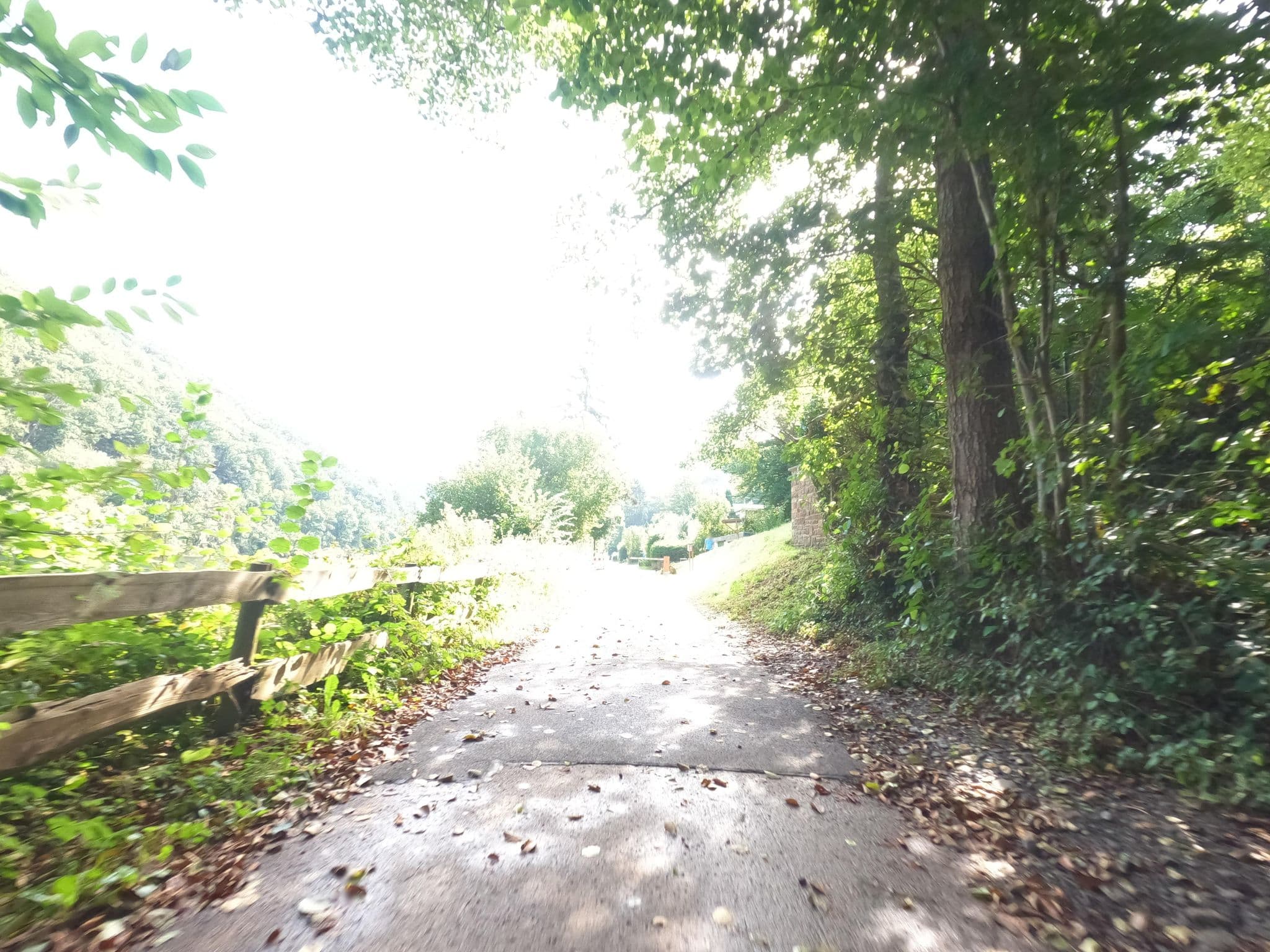 Street view near Seeblick, Heimbach — © hektor1989 (CC BY-SA · Mapillary)