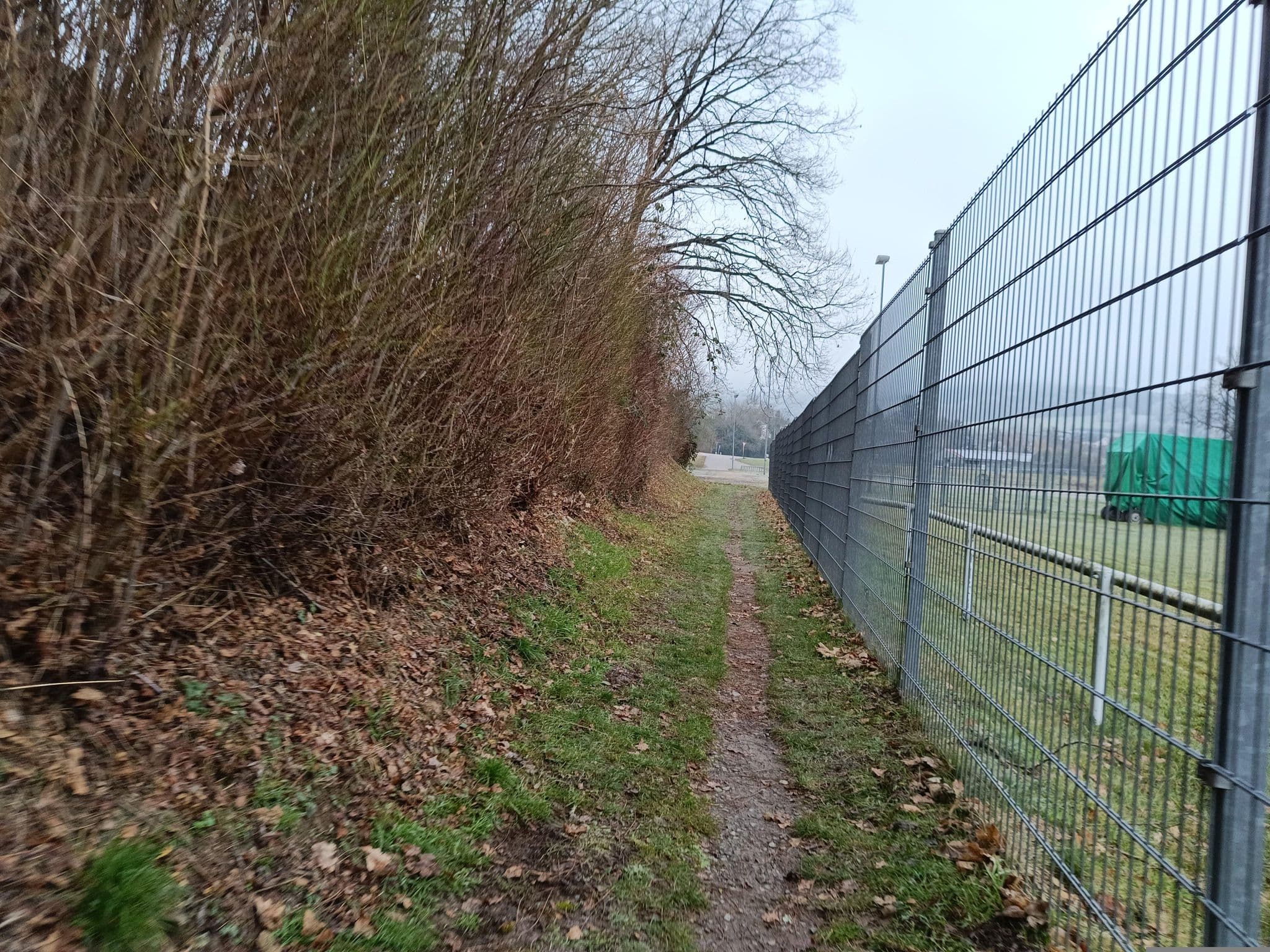 Street view near DJH Erbach, Erbach — © Mlink (CC BY-SA · Mapillary)
