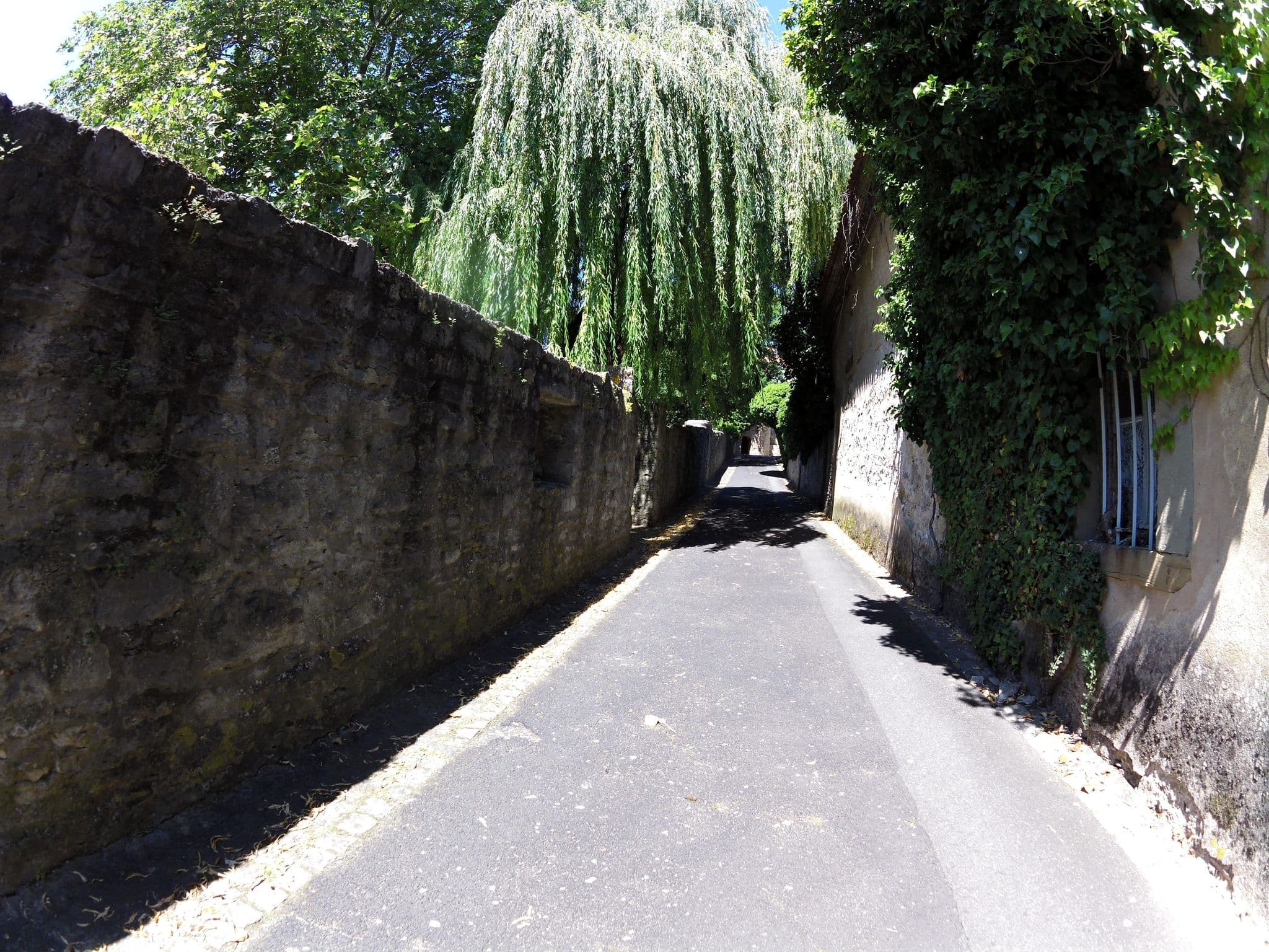 Street view near Gästezimmer im Fürstenhof Meintzinger, Ochsenfurt — © zoegglmeyr1 (CC BY-SA · Mapillary)