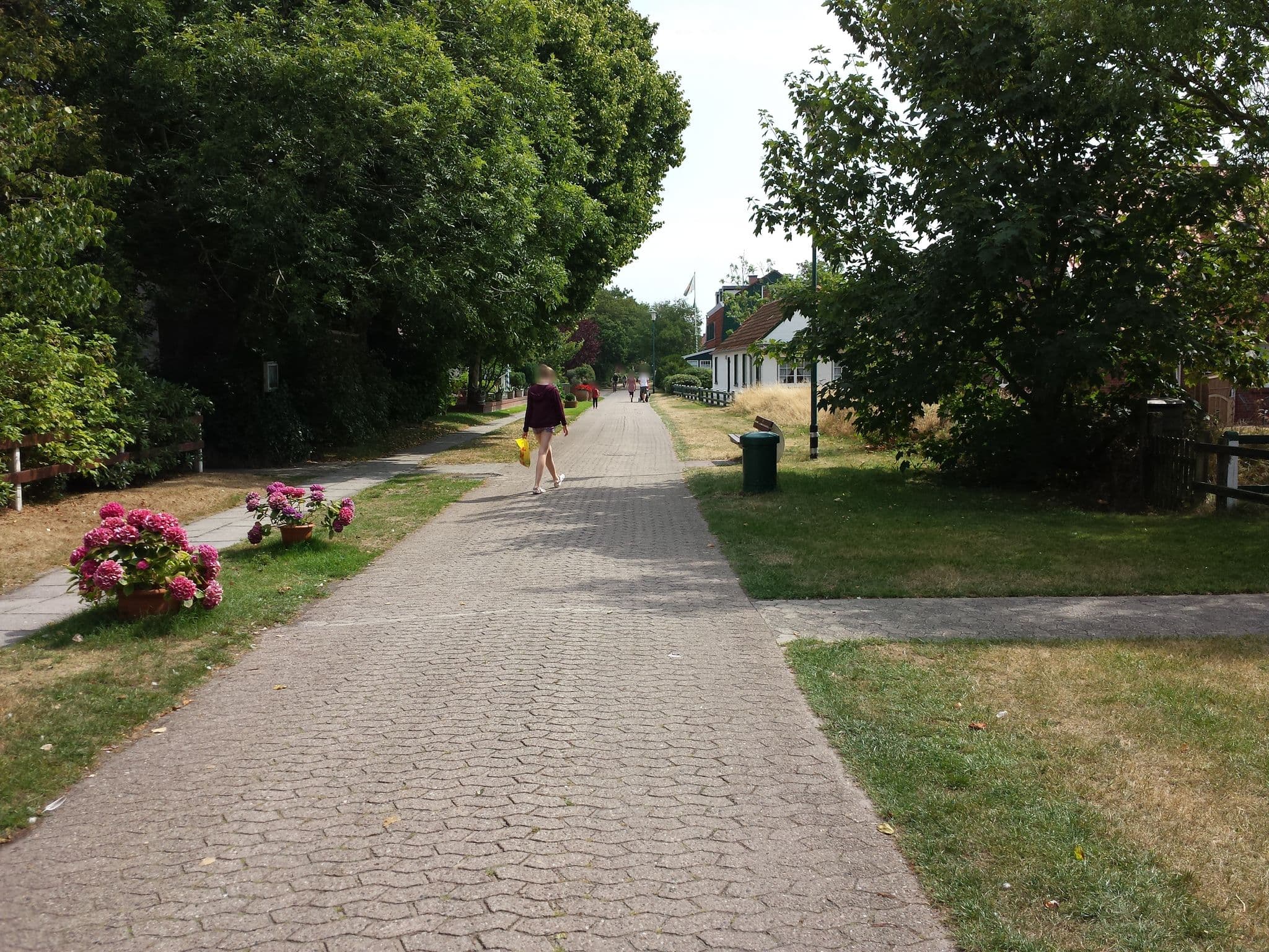 Street view near Haus Seelust, Neuharlingersiel — © flohoff (CC BY-SA · Mapillary)