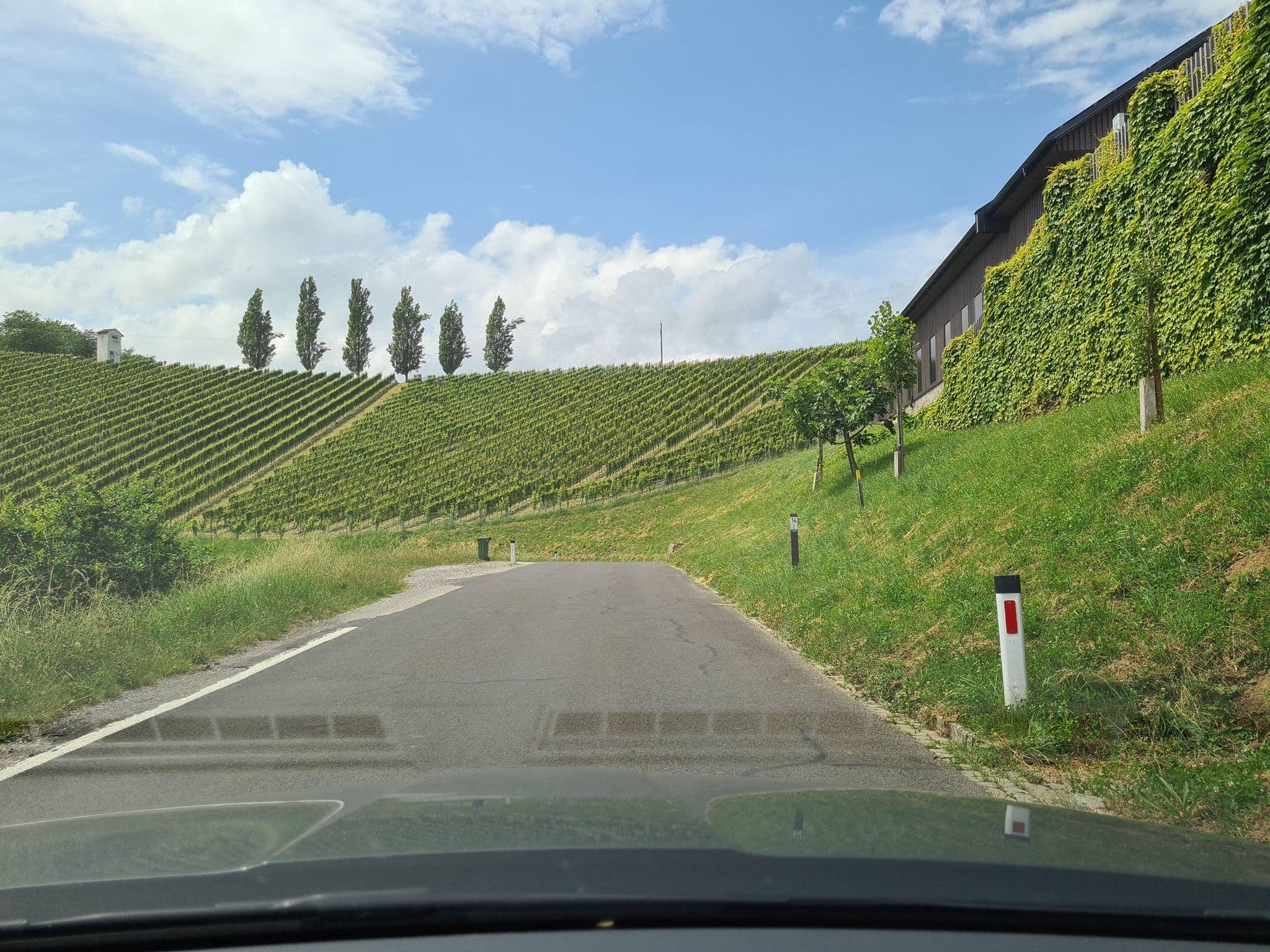 Street view near Wohnen beim Wein Fam. Tschermonegg, Gamlitz — © schermy_at (CC BY-SA · Mapillary)