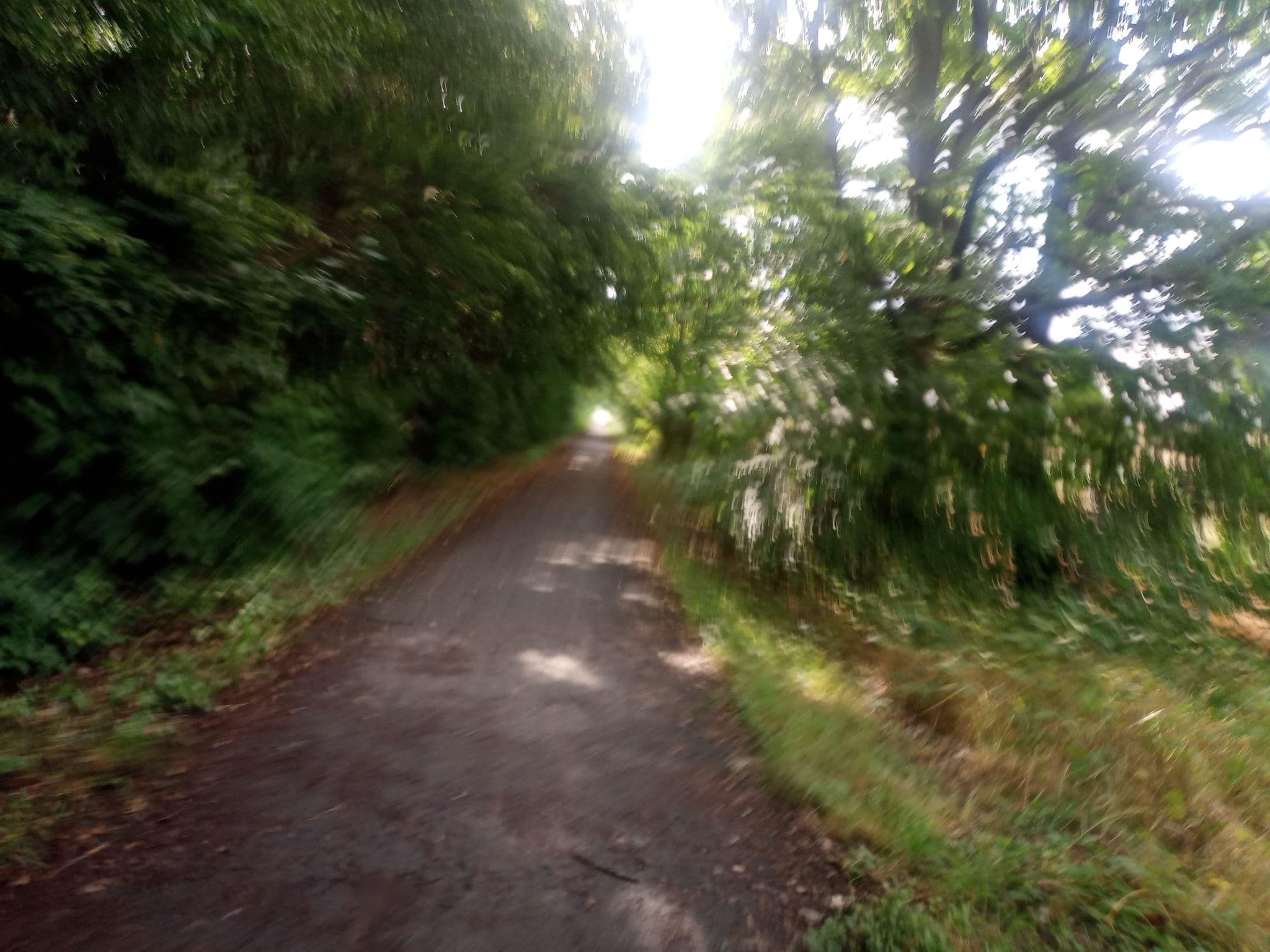 Street view near Heidegrund, Droyßig — © natura (CC BY-SA · Mapillary)