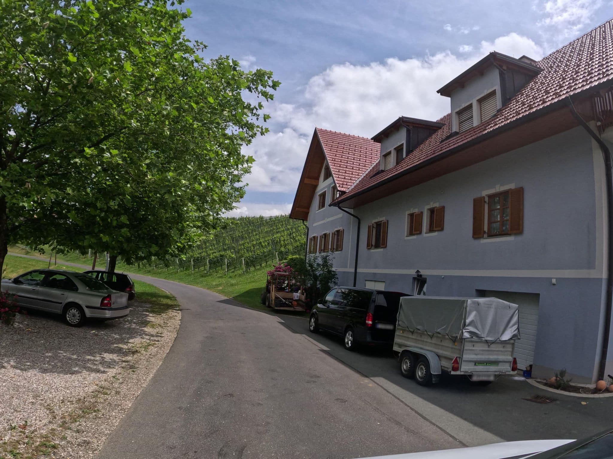 Street view near Amandus Adam, Gamlitz — © djpixel (CC BY-SA · Mapillary)