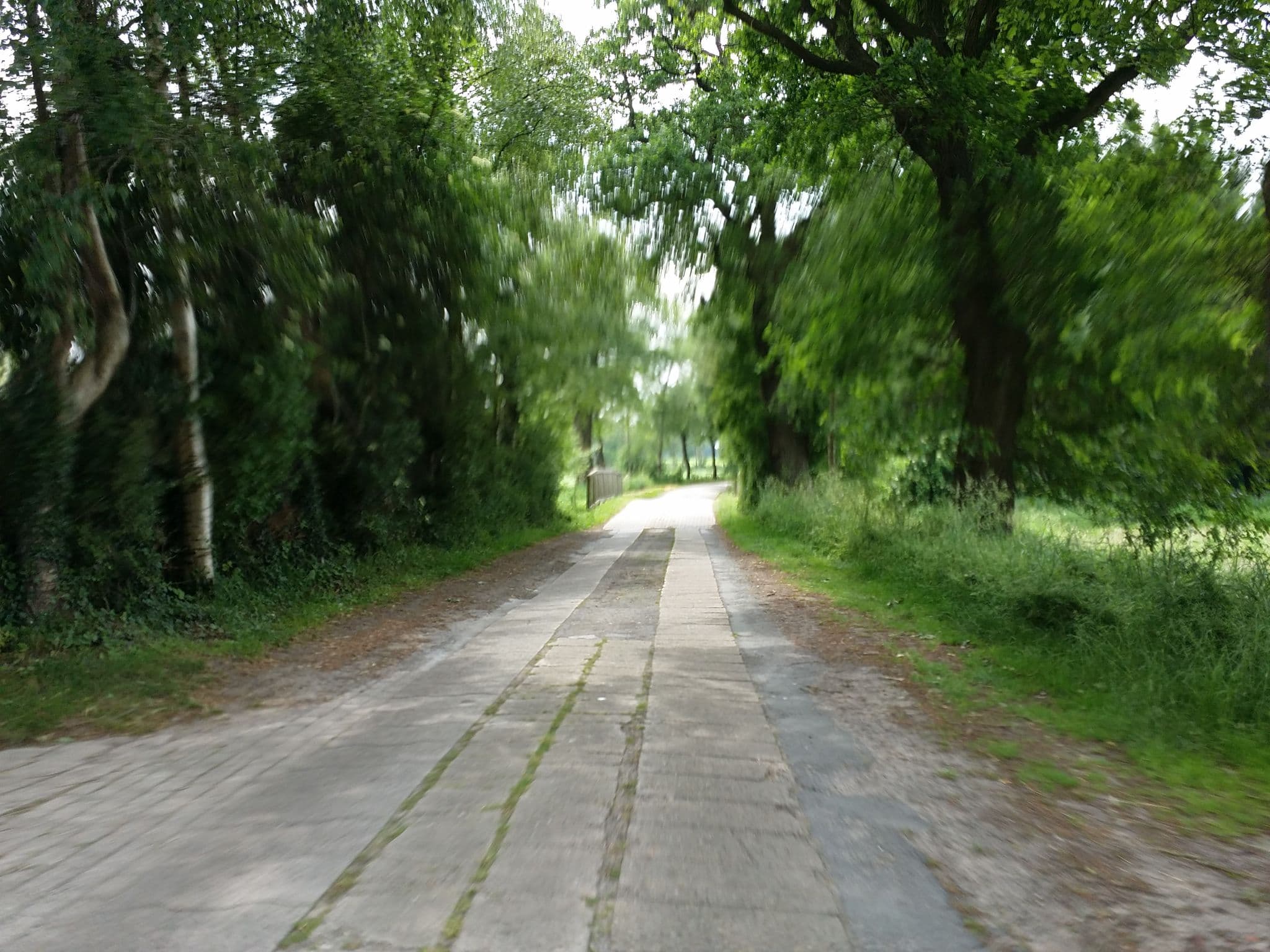 Street view near Fehaus Harms-Neunaber, Friedeburg — © abmap (CC BY-SA · Mapillary)