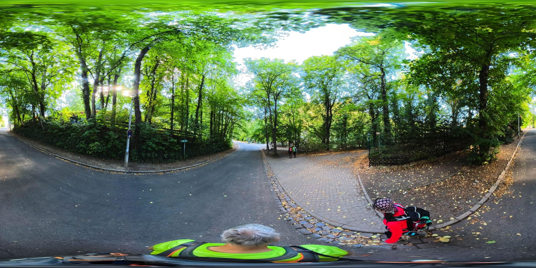 Street view near Villa Rosenburg, Thale — © Hol_Ger (CC BY-SA · Mapillary)