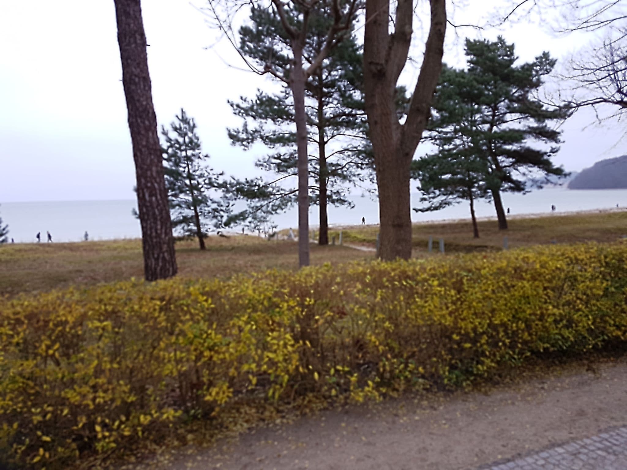 Street view near Villa Sirene, Ostseebad Binz