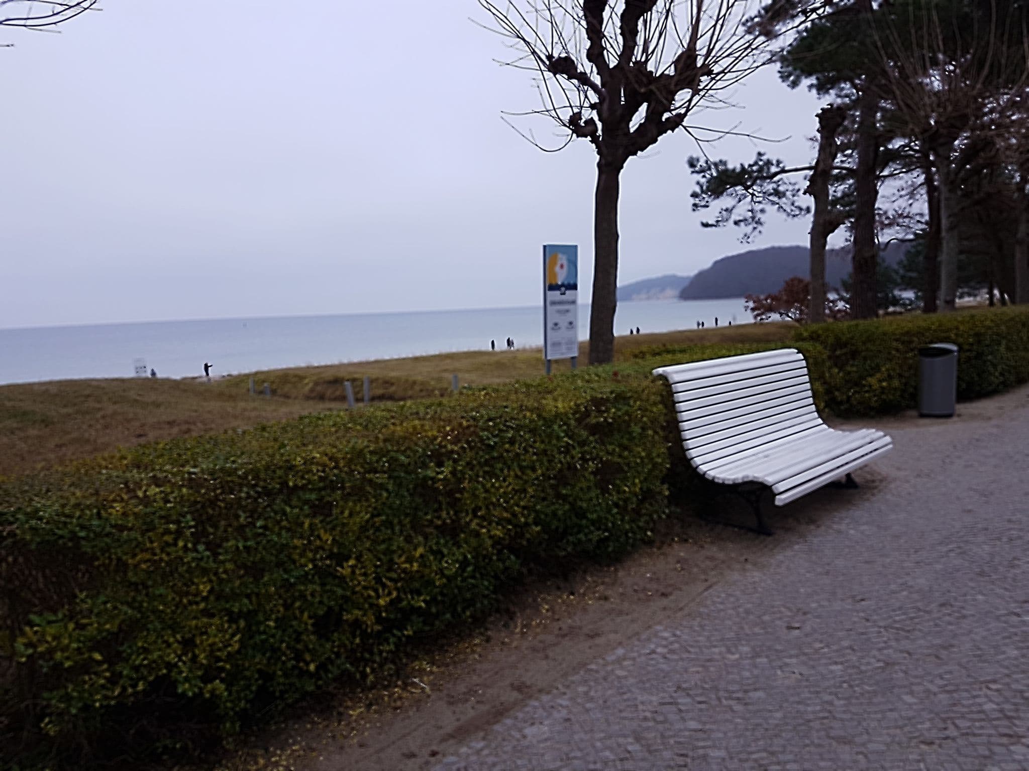 Street view near Villa Haiderose, Ostseebad Binz