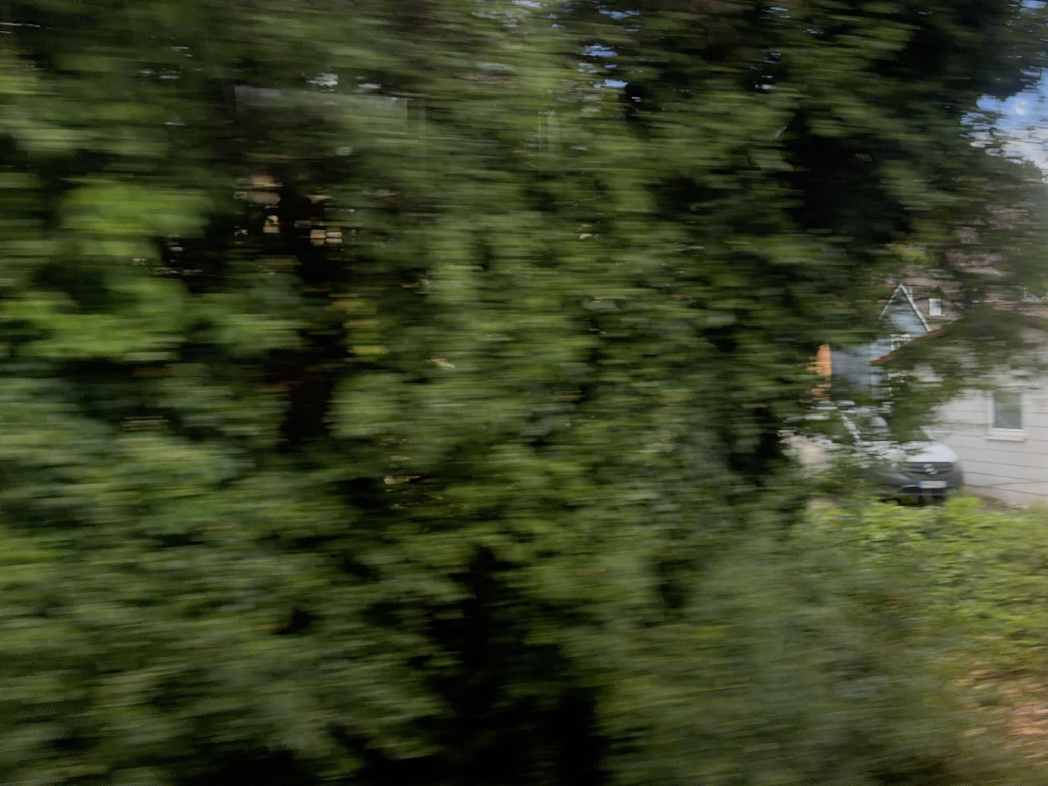 Street view near Zum Goldenen Hirschen, Simmertal — © miguel_andrade (CC BY-SA · Mapillary)