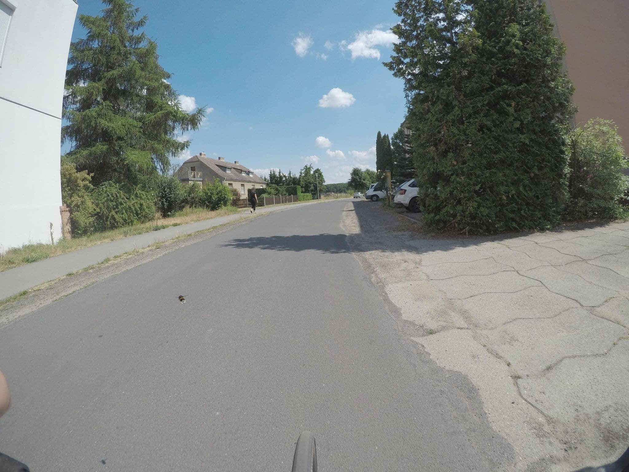 Street view near Haus Birnbaum, Roskow — © kartonage (CC BY-SA · Mapillary)