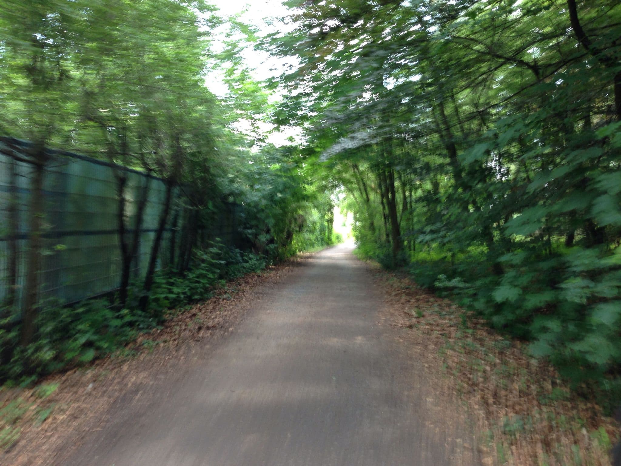 Street view near Mainpark Nizza, Hanau am Main — © flidolin (CC BY-SA · Mapillary)