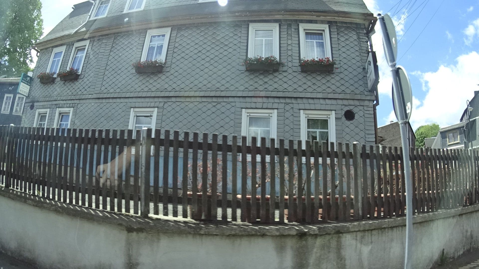 Street view near Hotel Thüringer Hof, Schmiedefeld am Rennsteig — © ramap (CC BY-SA · Mapillary)