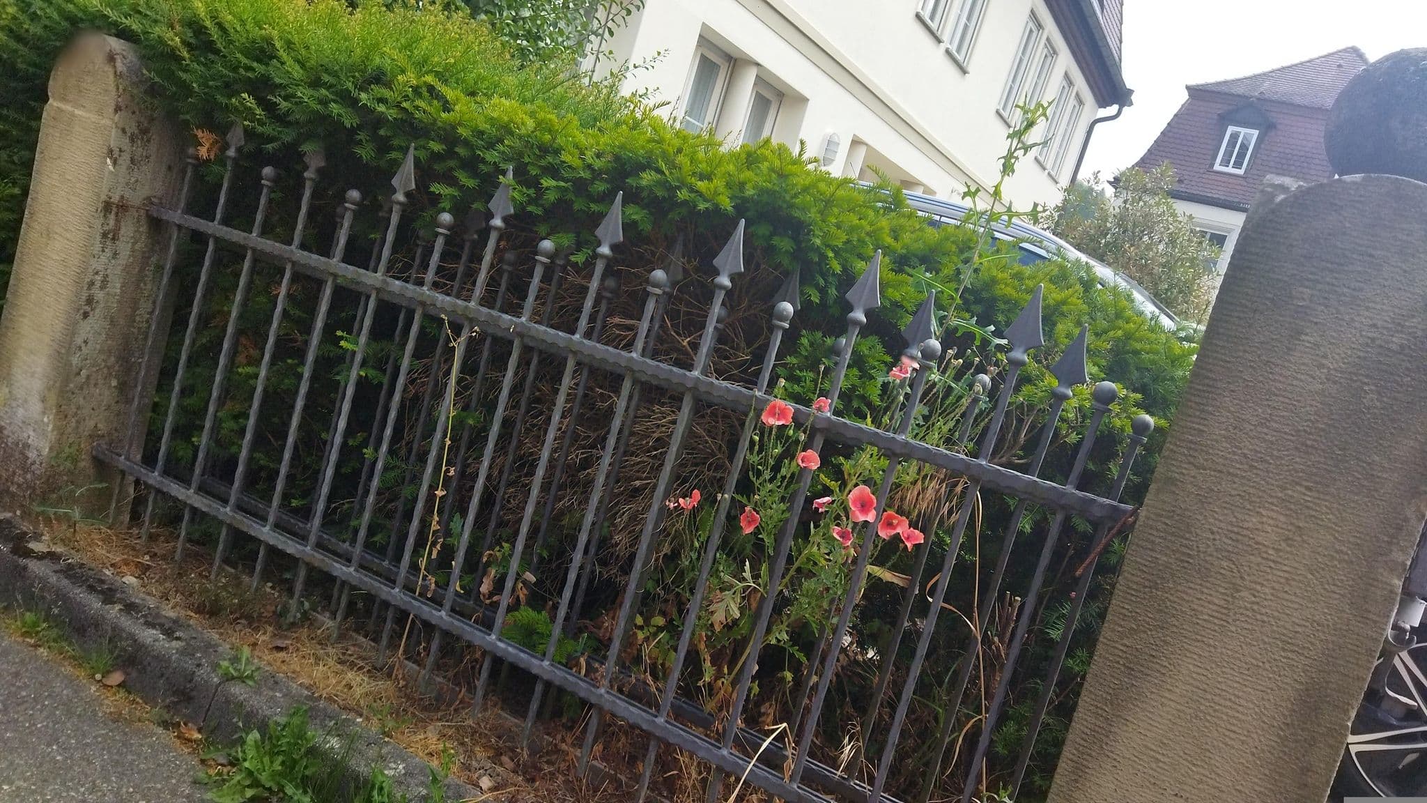 Street view near Schloss Döttingen, Braunsbach — © changchun1 (CC BY-SA · Mapillary)