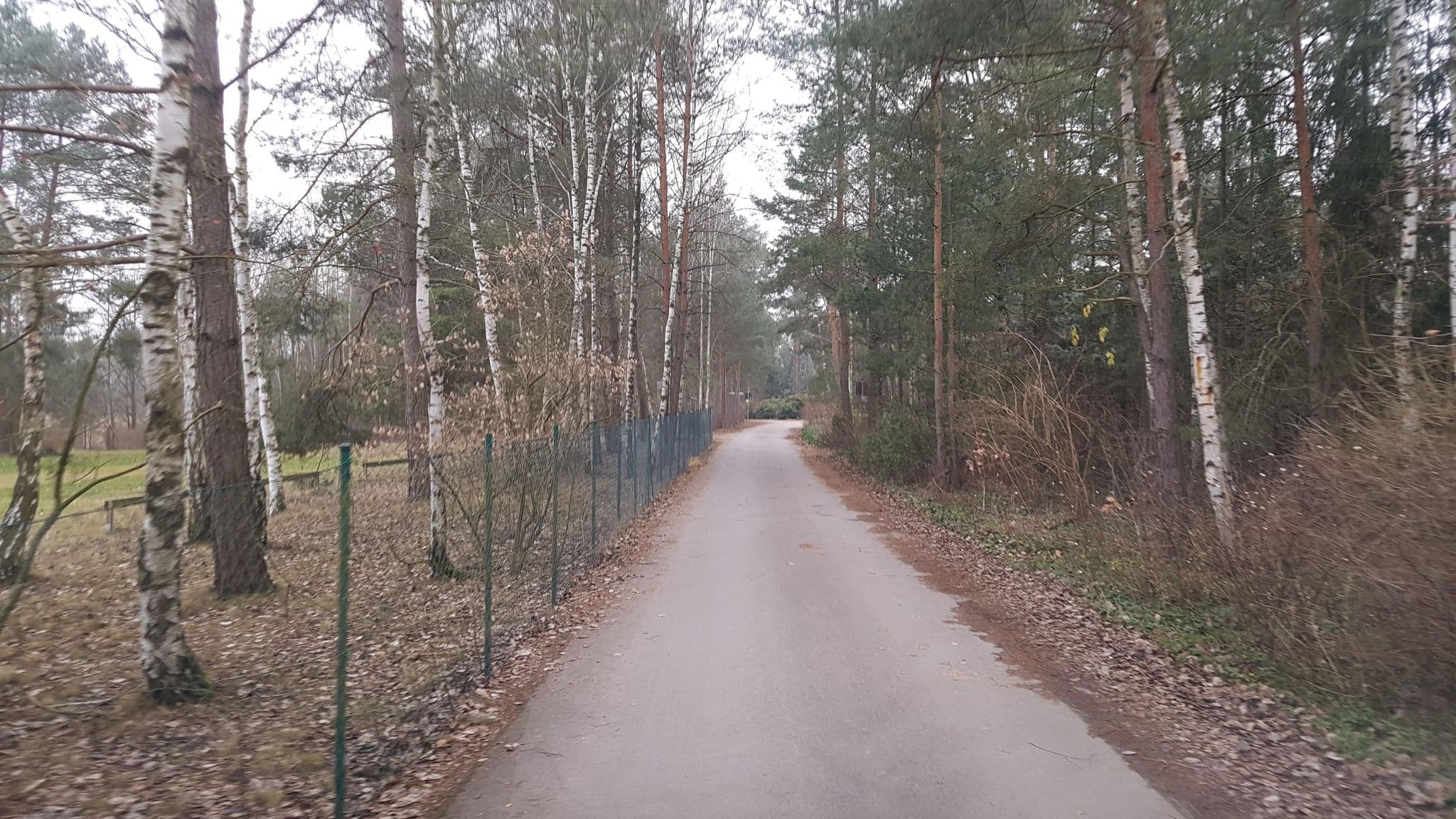 Street view near Caravanstellplatz Lollipop, Plessa — © dsmm (CC BY-SA · Mapillary)