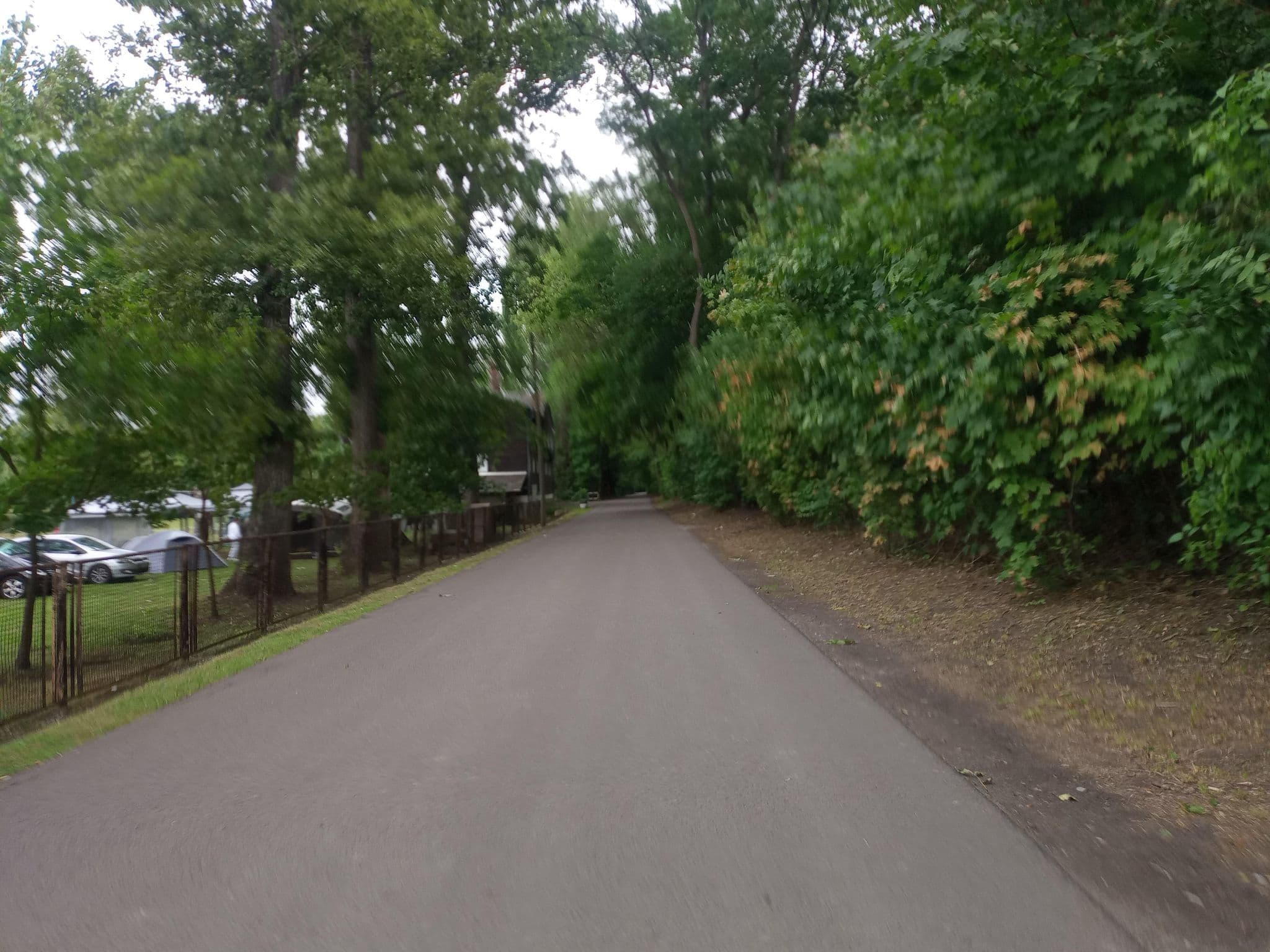 Street view near Schifferklause, Bernburg — © natura (CC BY-SA · Mapillary)