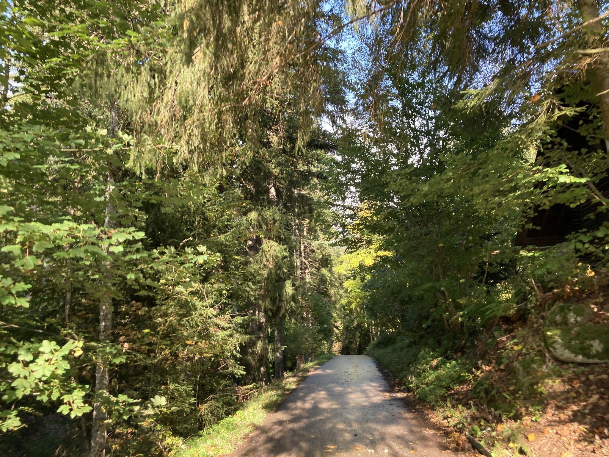 Street view near Schwenninger Hütte, Triberg — © tasmaniadevil (CC BY-SA · Mapillary)