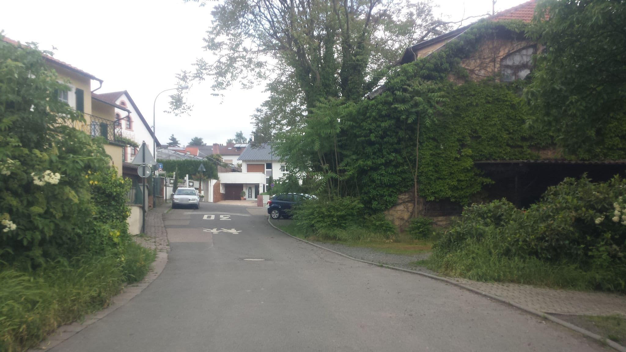 Street view near Landhaus Fluch, Bad Dürkheim — © wegavision (CC BY-SA · Mapillary)