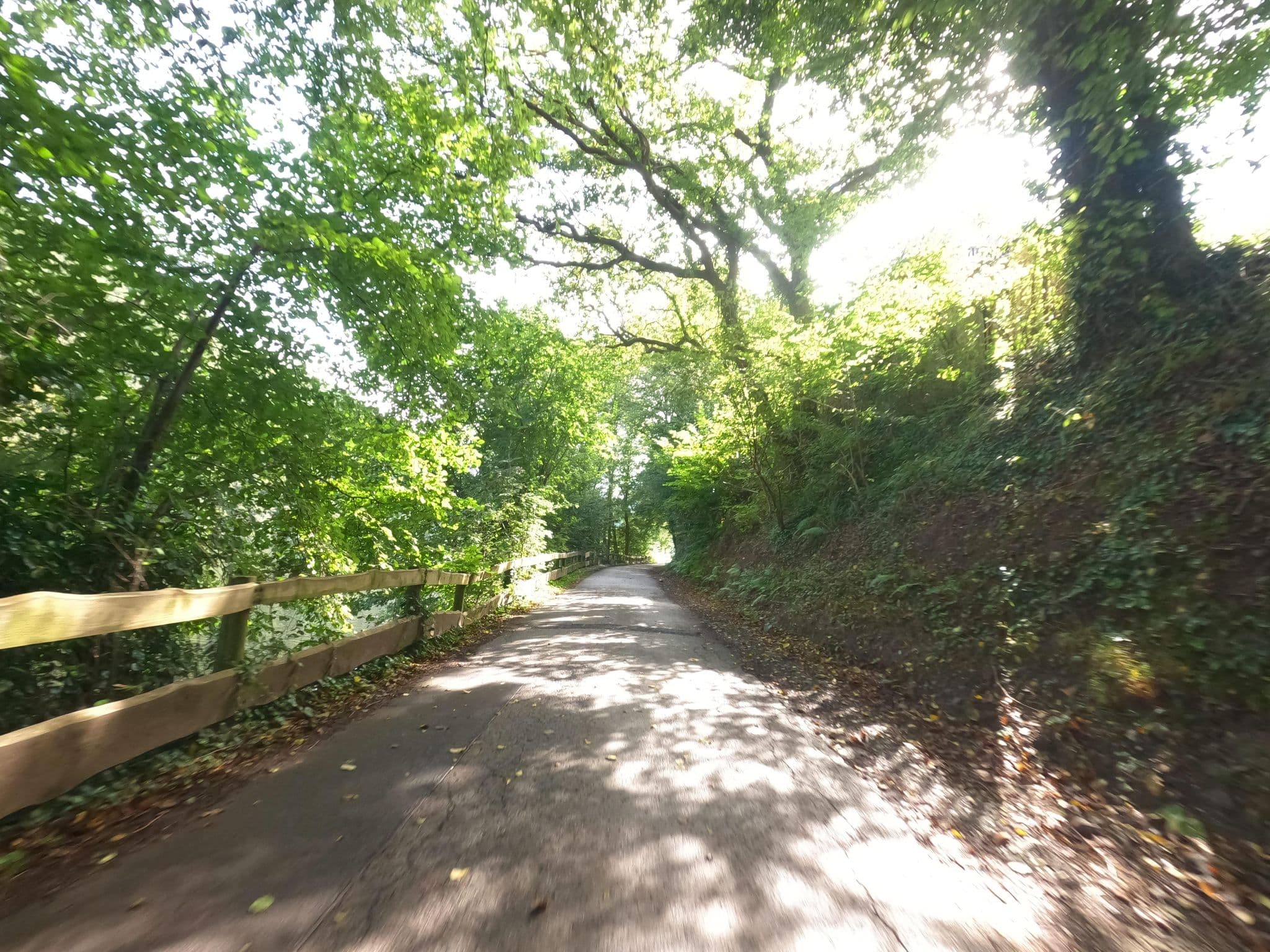 Street view near Haus am See, Heimbach — © hektor1989 (CC BY-SA · Mapillary)