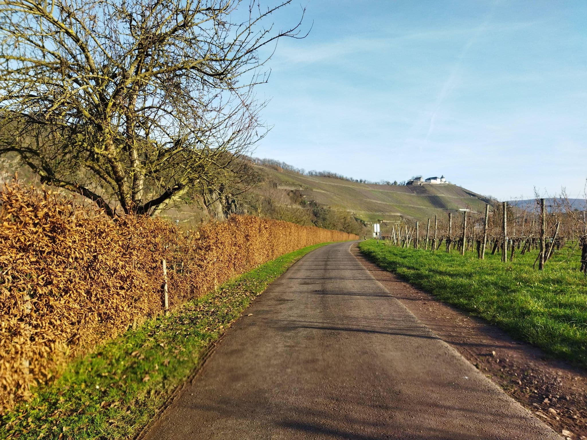 Street view near Moselstellplatz Pünderich, Bullay — © changchun1 (CC BY-SA · Mapillary)