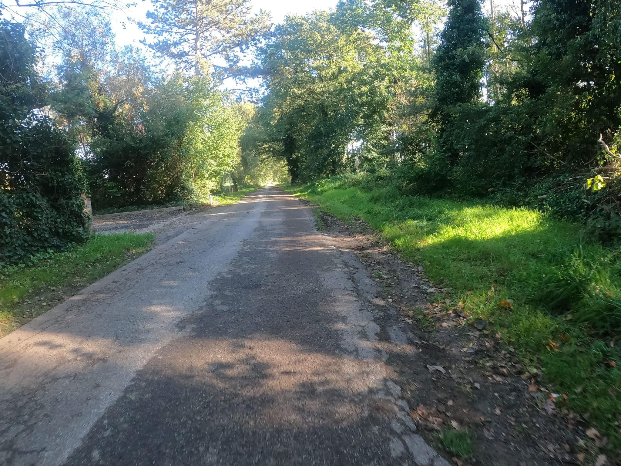 Street view near Pension Paus, Dingden — © gisberti (CC BY-SA · Mapillary)