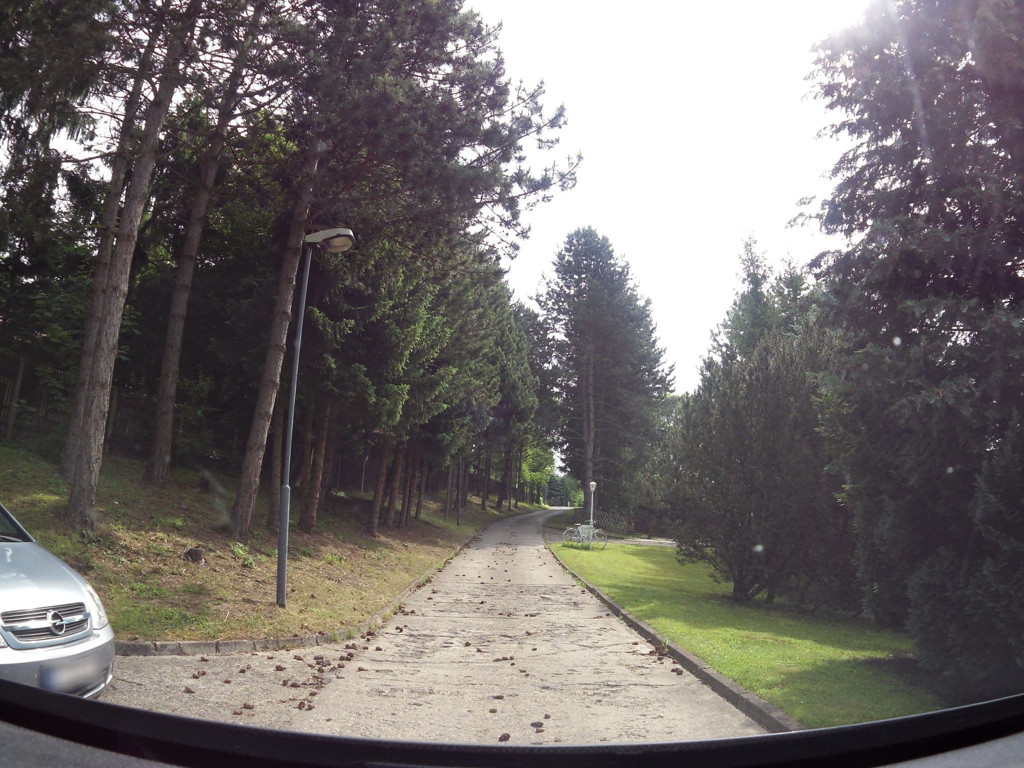 Street view near Hotel und Restaurant Wiesengrund, Worbis — © chuck (CC BY-SA · Mapillary)
