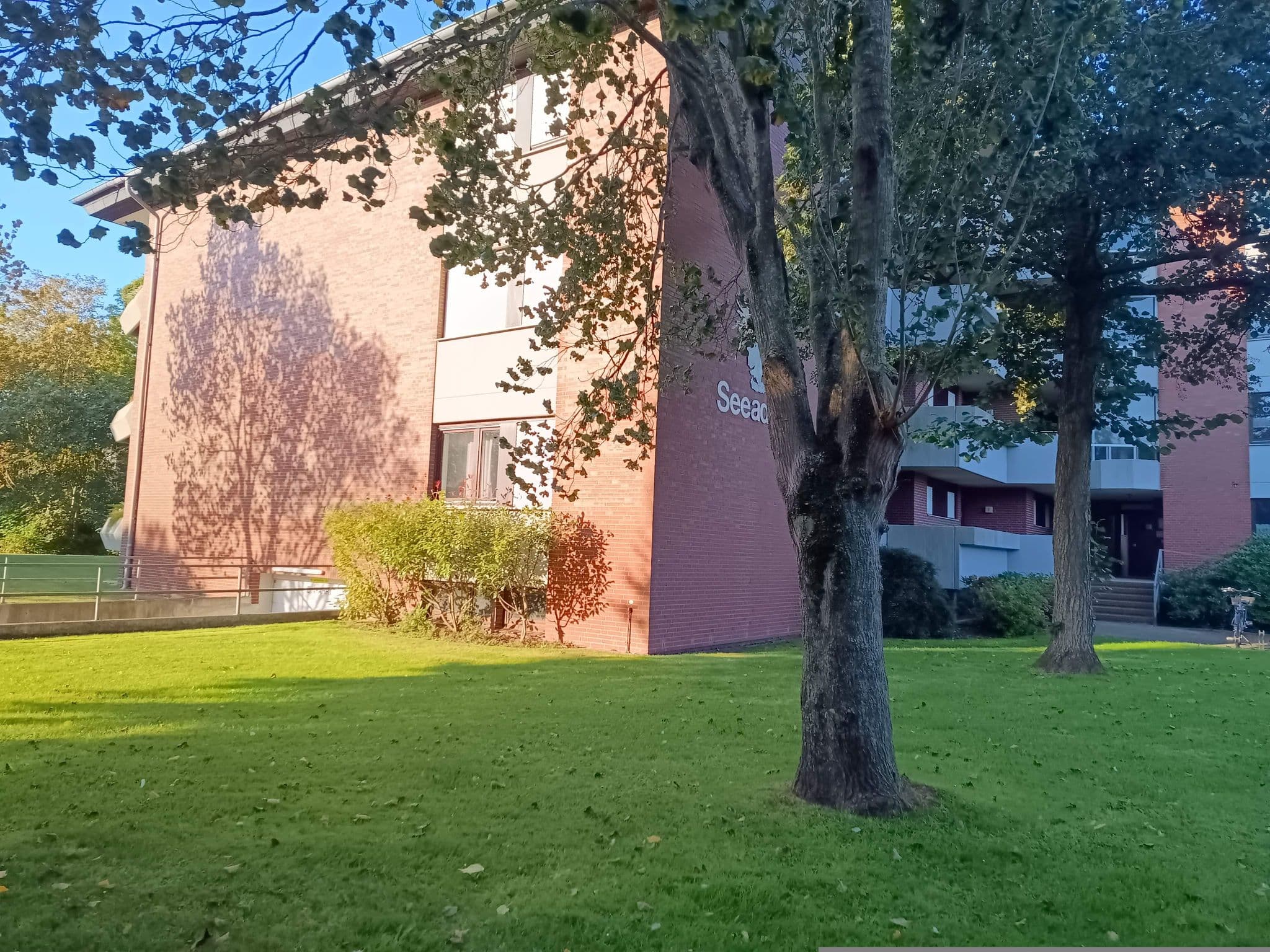 Street view near Haus Albatros, Butjadingen — © zuse (CC BY-SA · Mapillary)