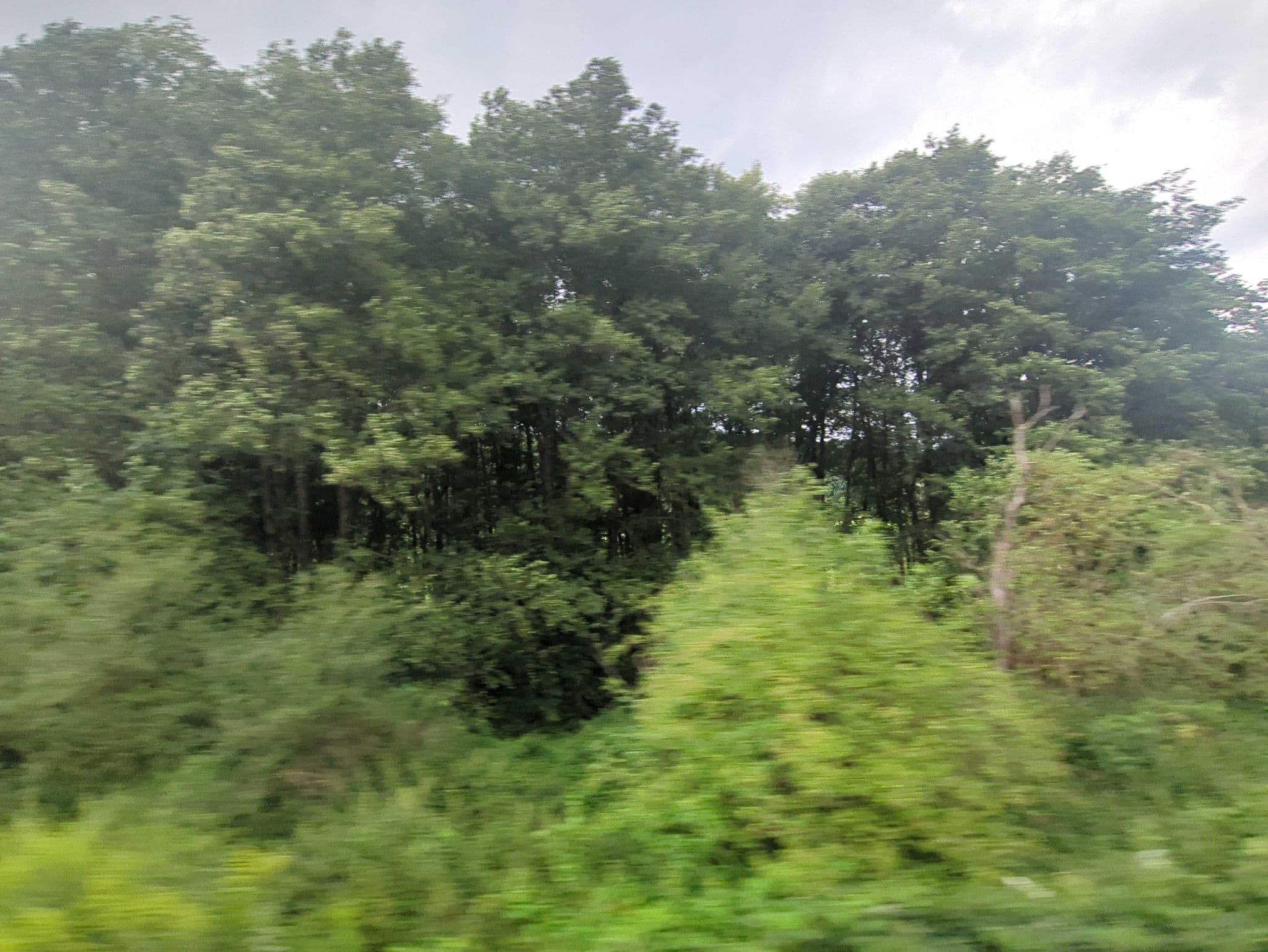 Street view near Düsselbacher Hütte, Vorra — © Mrlenny (CC BY-SA · Mapillary)