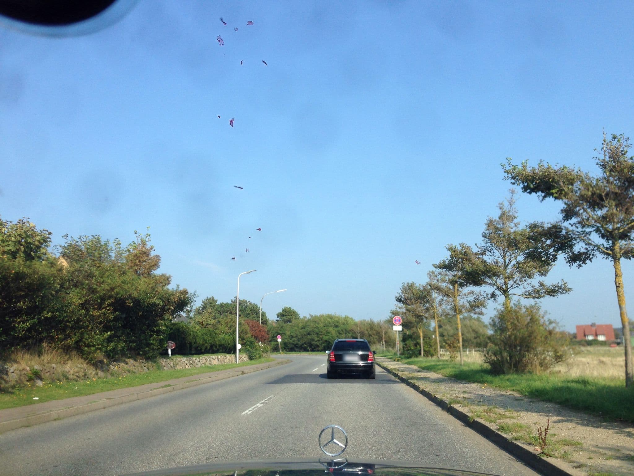 Street view near Haus Carolin, Westerland — © mjay (CC BY-SA · Mapillary)
