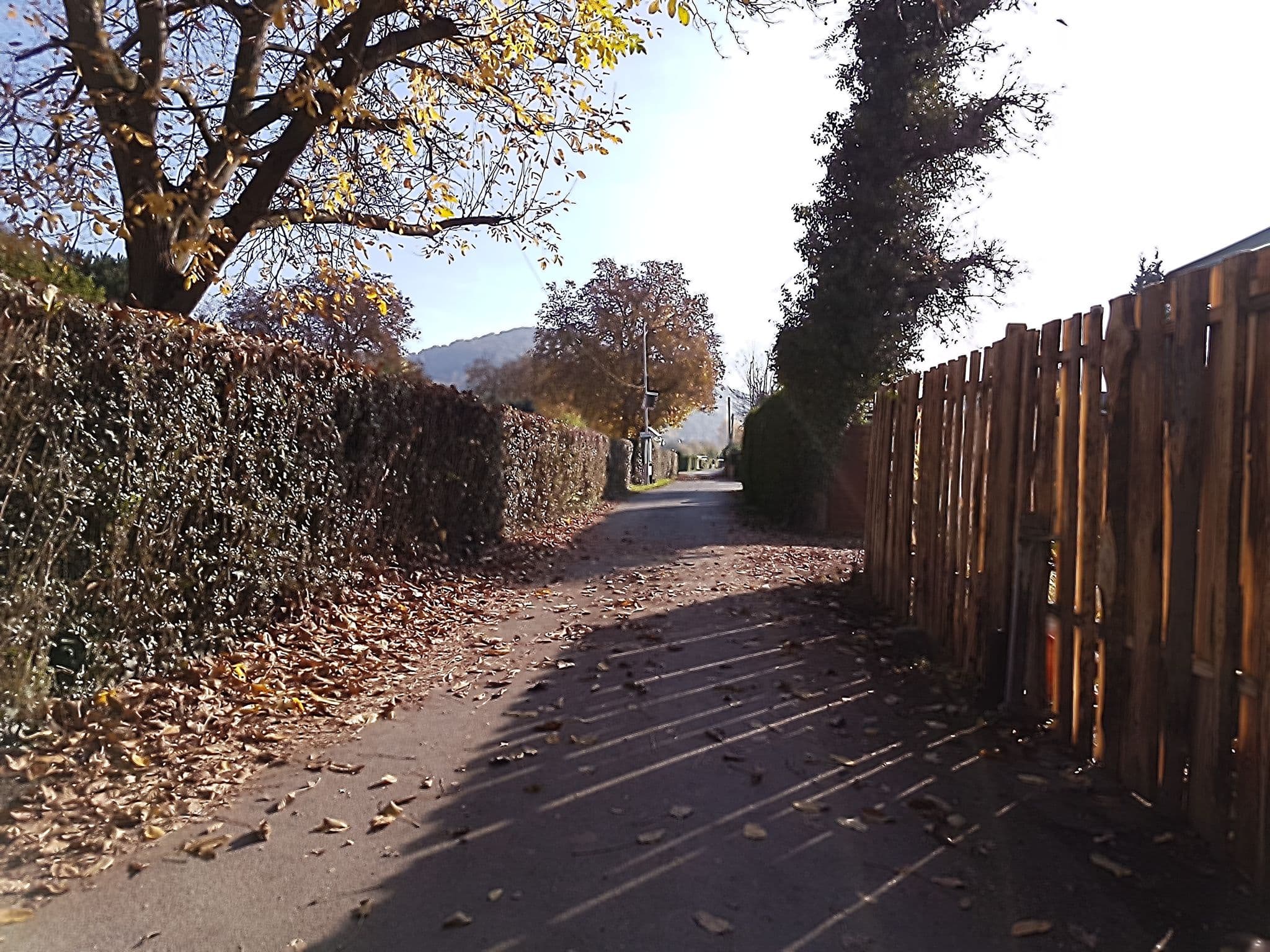 Street view near Campingplatz Mainruh, Klingenberg am Main — © changchun1 (CC BY-SA · Mapillary)
