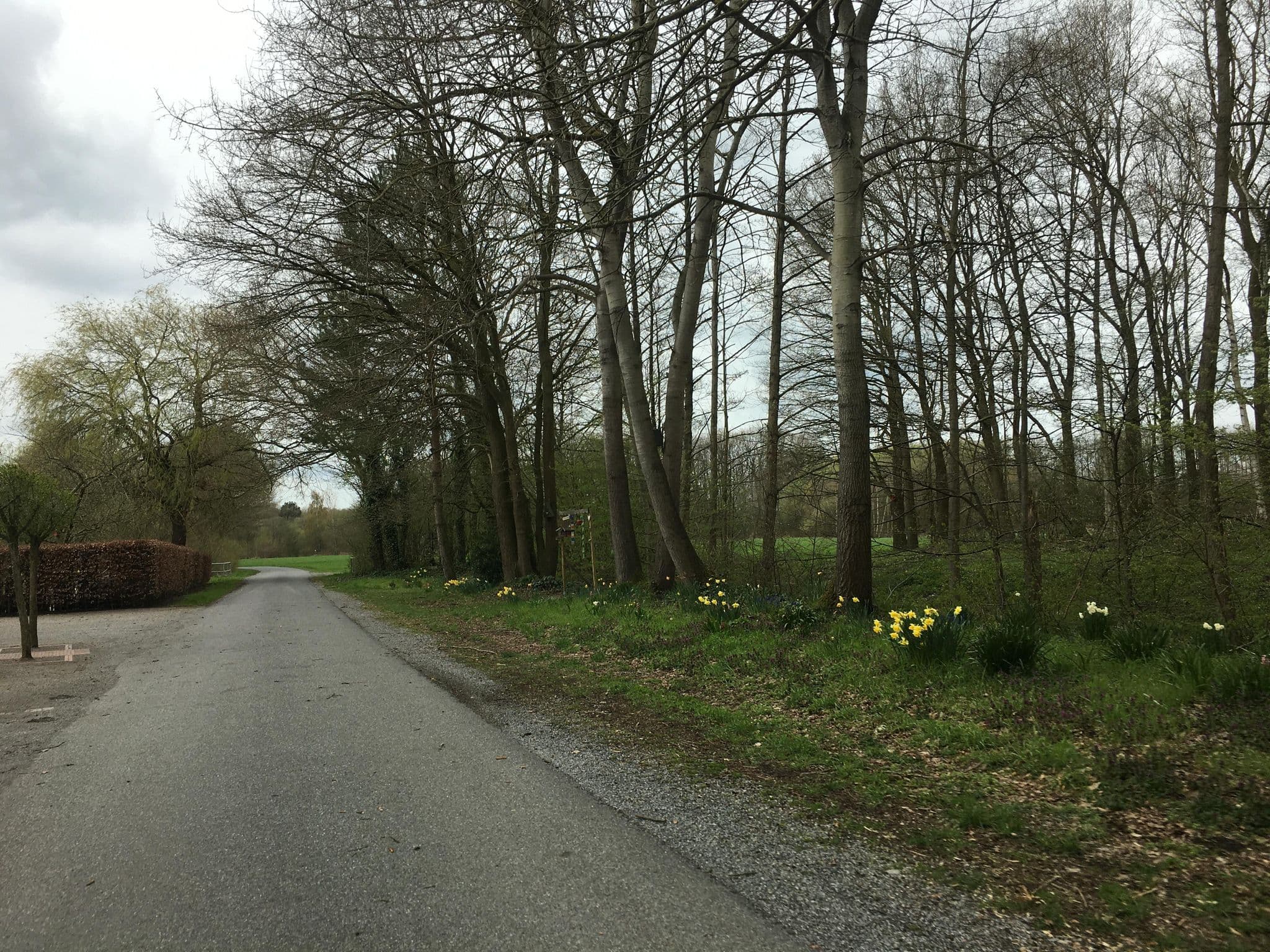 Street view near LandKATE, Lüdinghausen — © descilla (CC BY-SA · Mapillary)
