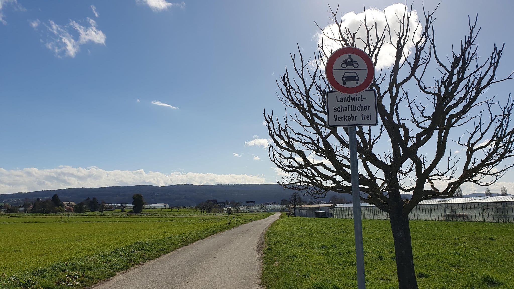 Street view near Wohnmobilstellplatz Riedstraße, Reichenau — © v0174 (CC BY-SA · Mapillary)