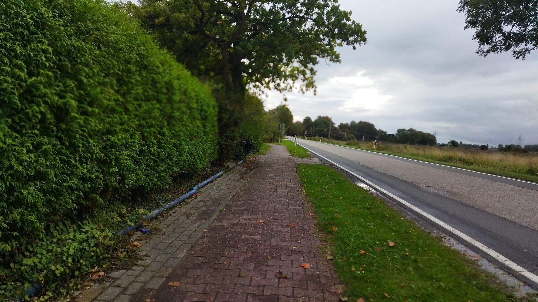 Street view near Landhaus Uttum, Pewsum — © changchun1 (CC BY-SA · Mapillary)